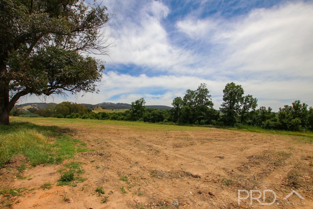 67-99 Adelong Road TUMUT 6