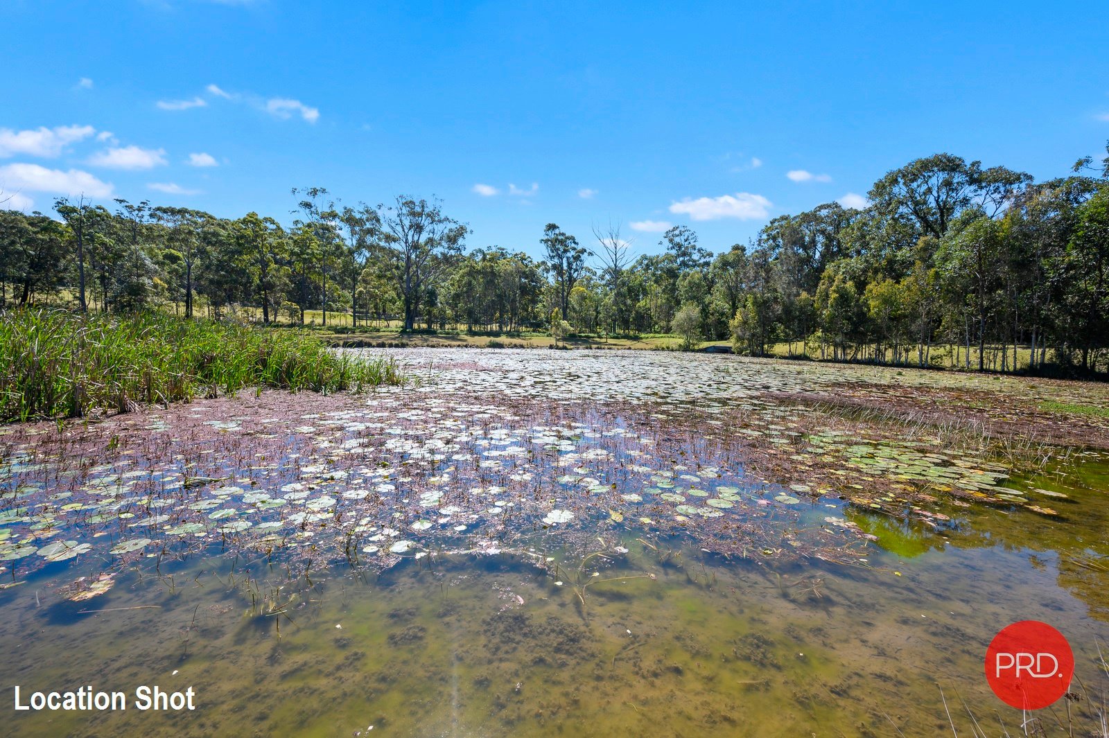 67 Admiralty Drive SAFETY BEACH 25