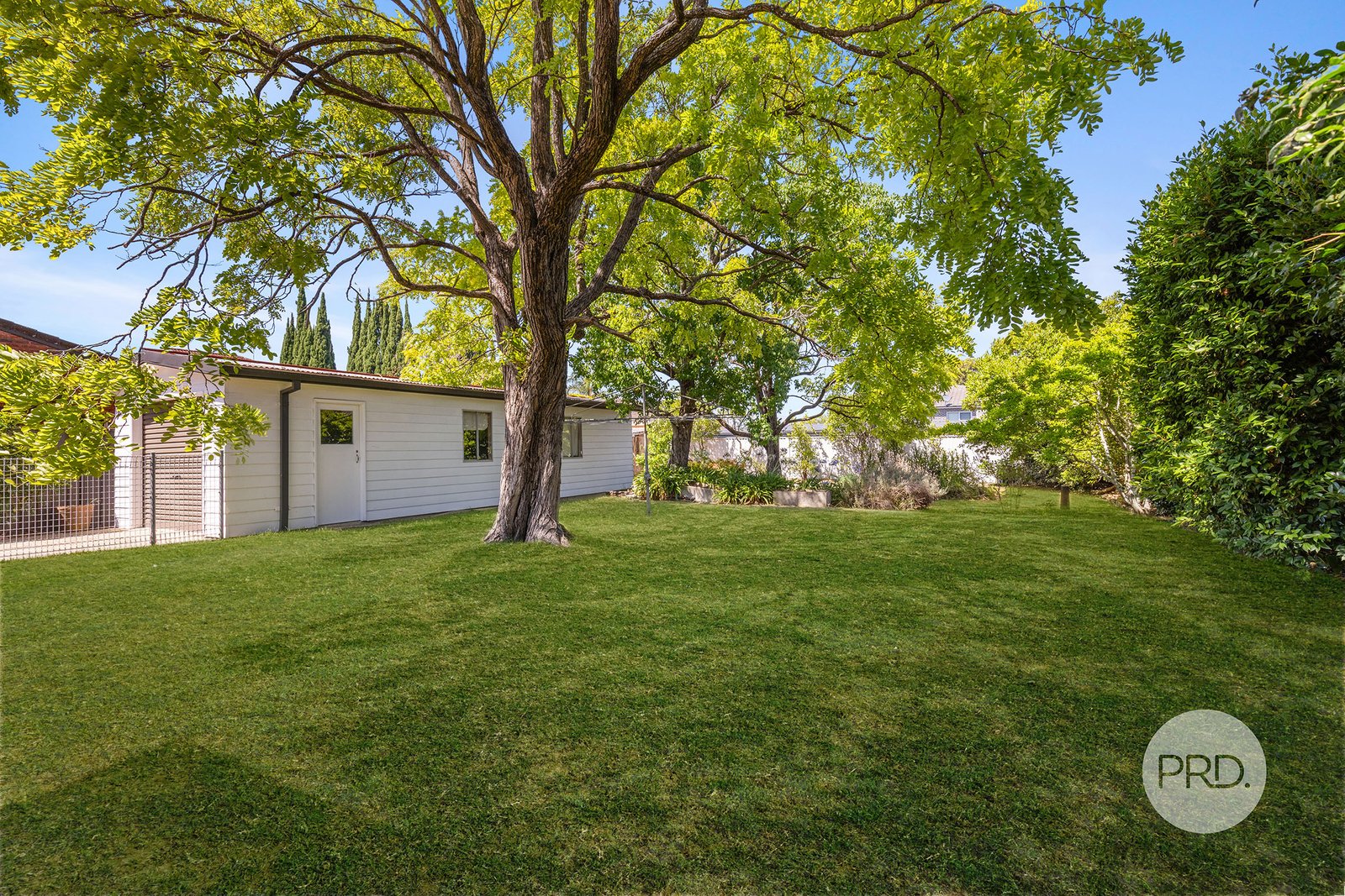 67 Albert Street BEXLEY 16