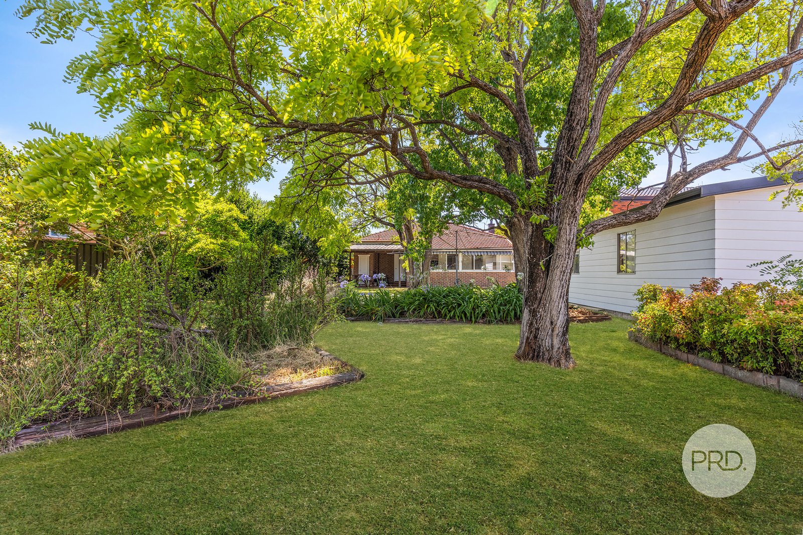 67 Albert Street BEXLEY 17