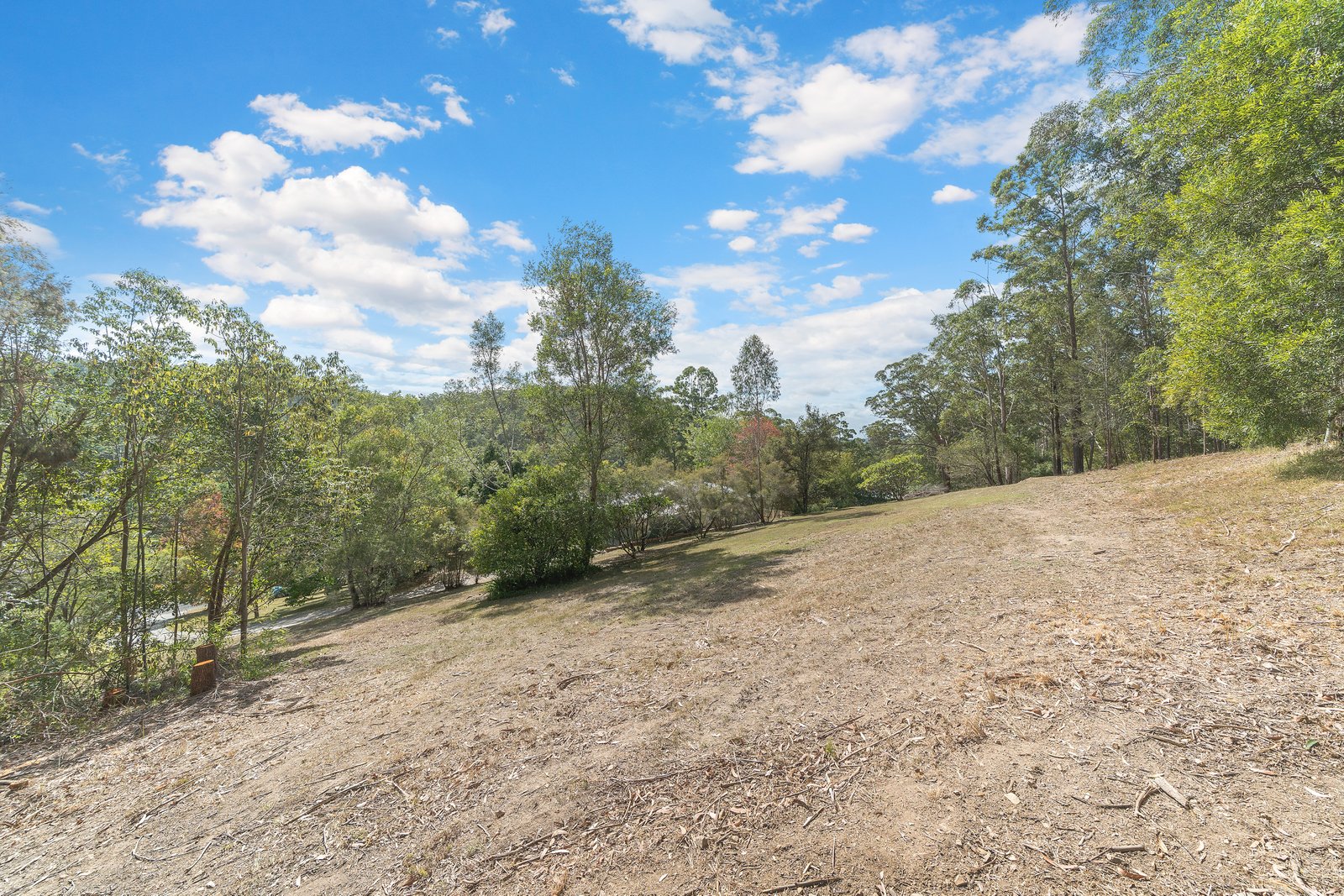 67 Albert Street KENDALL 17