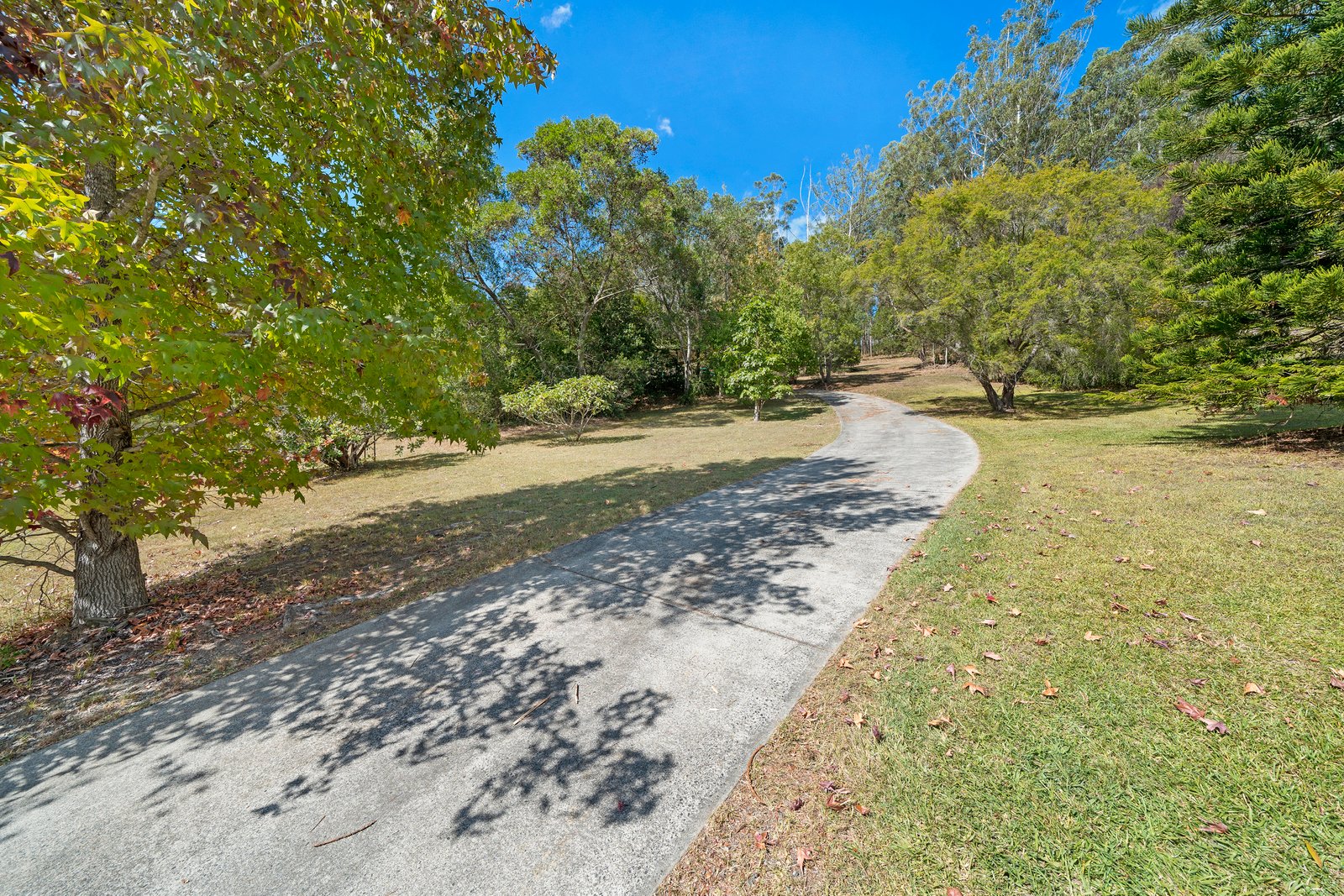 67 Albert Street KENDALL 22