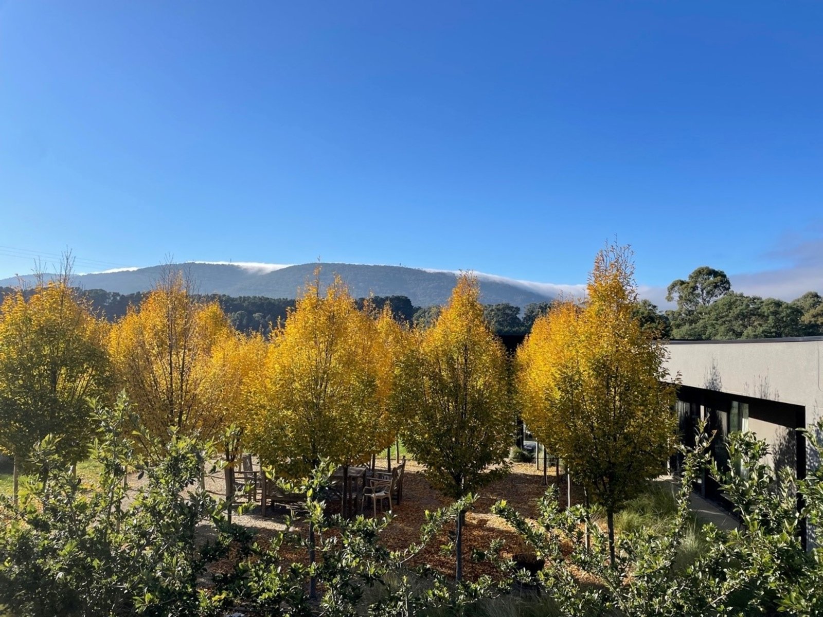 Real Estate and Property in 67 Blackmore Road, Woodend, VIC