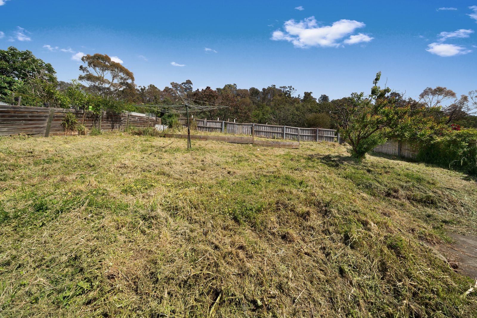 67 Charlotte Street NEW NORFOLK 15