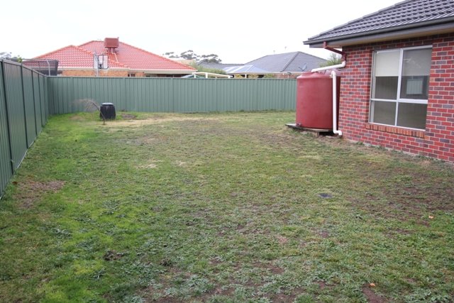 67 Faversham Avenue LAKE GARDENS 11