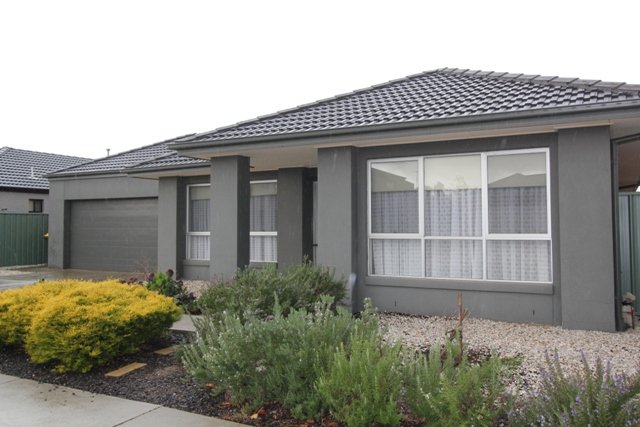 67 Faversham Avenue LAKE GARDENS 13