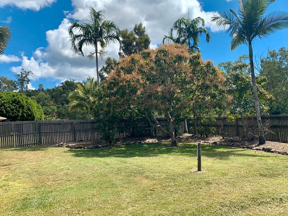 67 Parkwood Terrace CANNONVALE 9