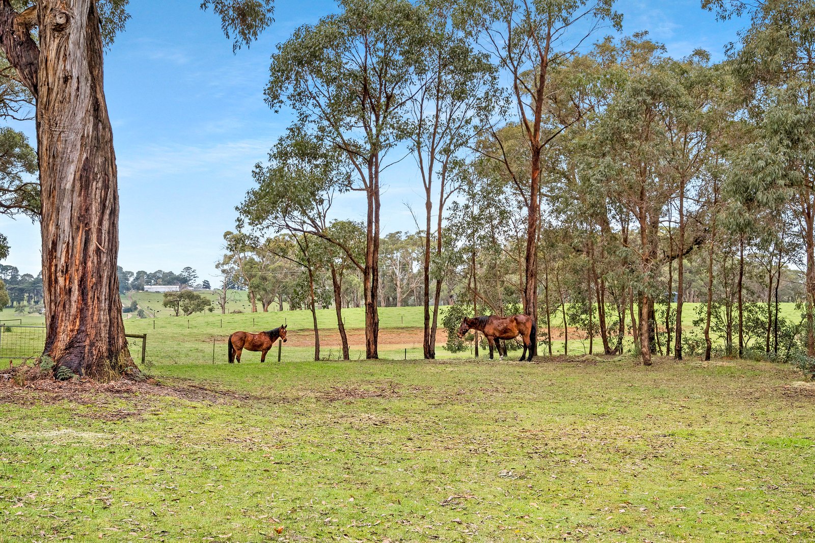 Gallery: 67 Stockdale Road