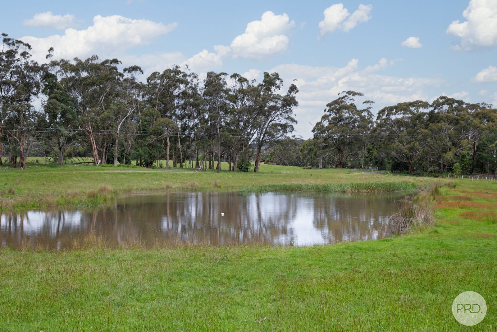 670 Creswick-Bungaree Road WATTLE FLAT 11