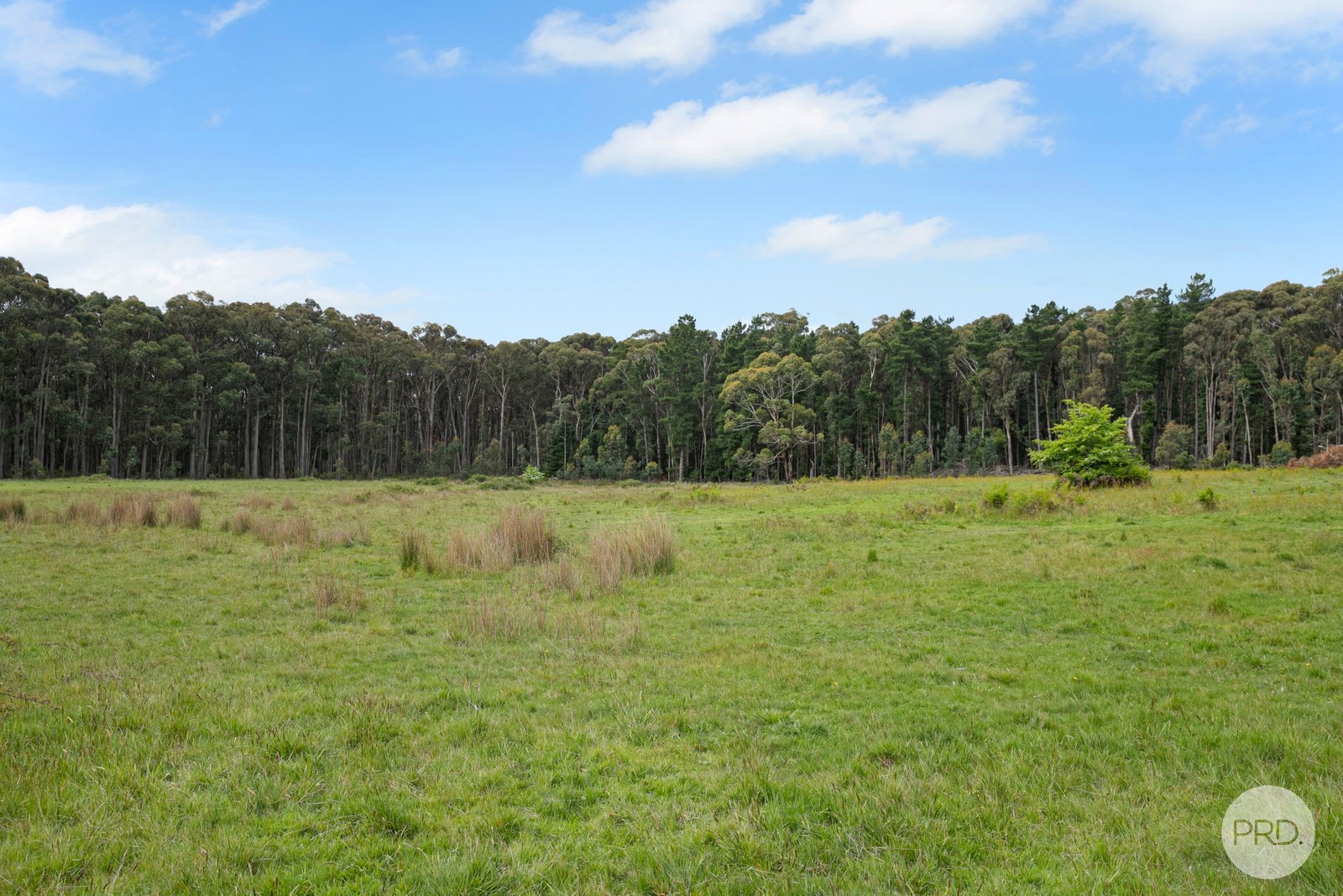 670 Creswick-Bungaree Road WATTLE FLAT 12