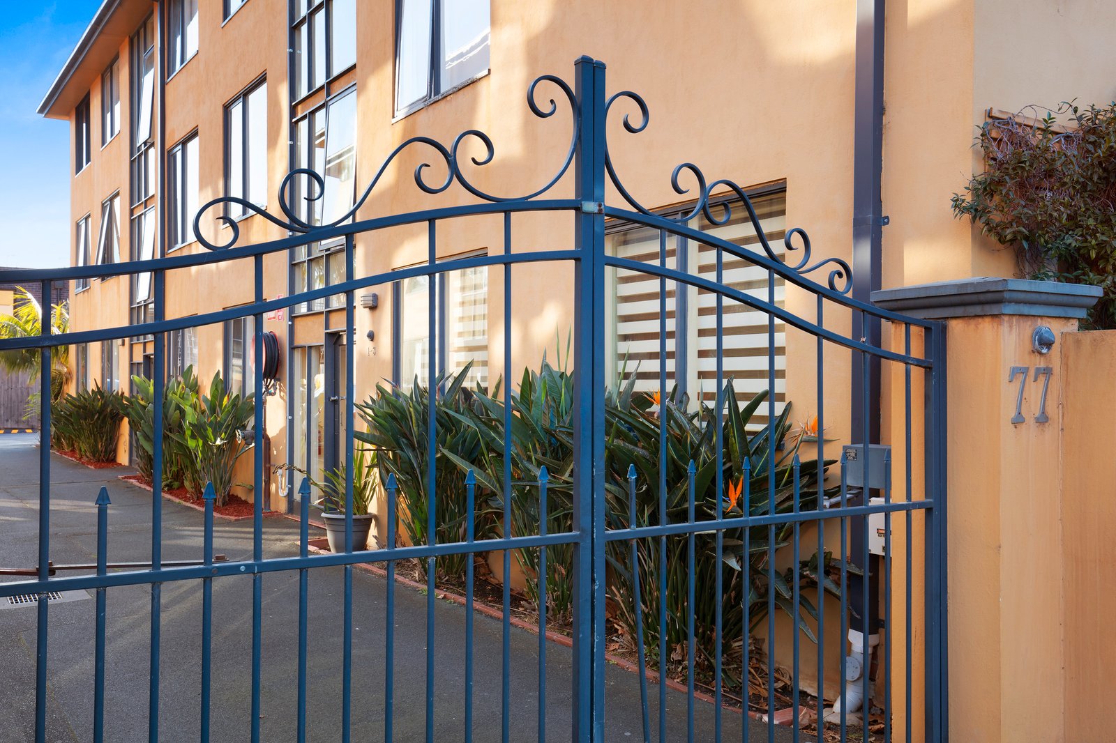 Gallery: 6/77 Westbury Street