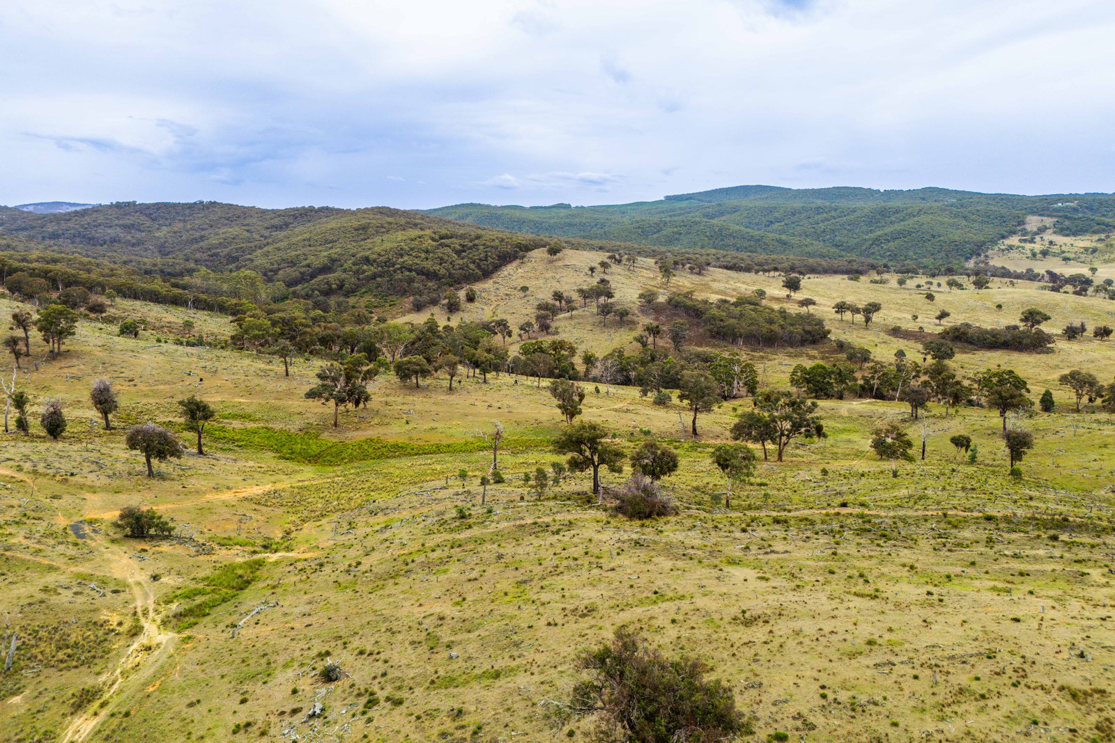 678 Dry Creek Road LEWIS PONDS 1