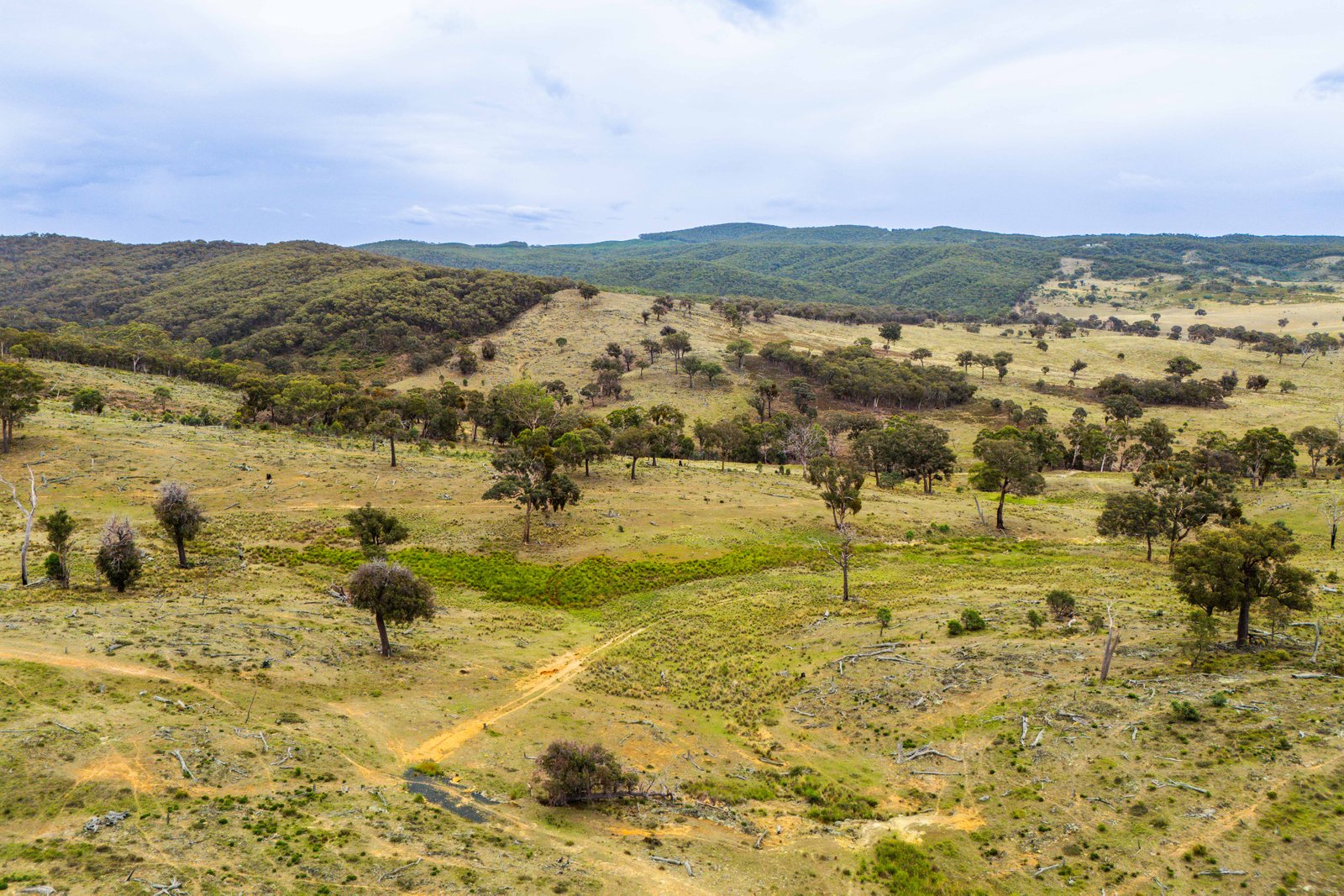 678 Dry Creek Road LEWIS PONDS 2