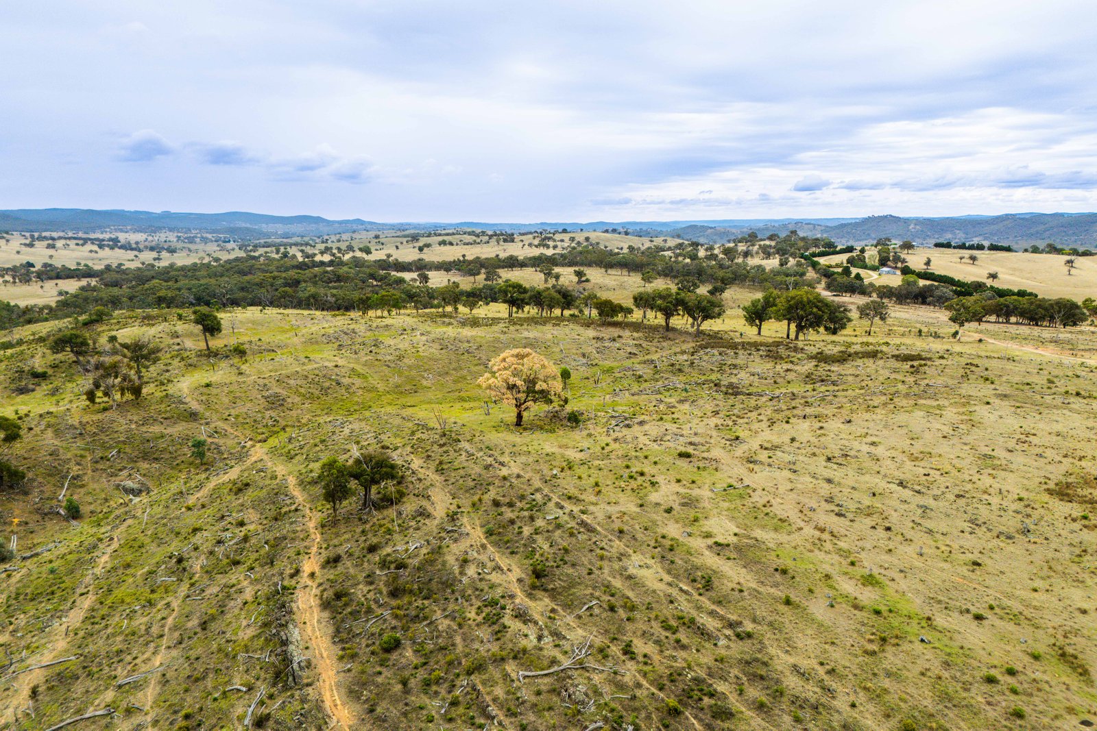 678 Dry Creek Road LEWIS PONDS 3