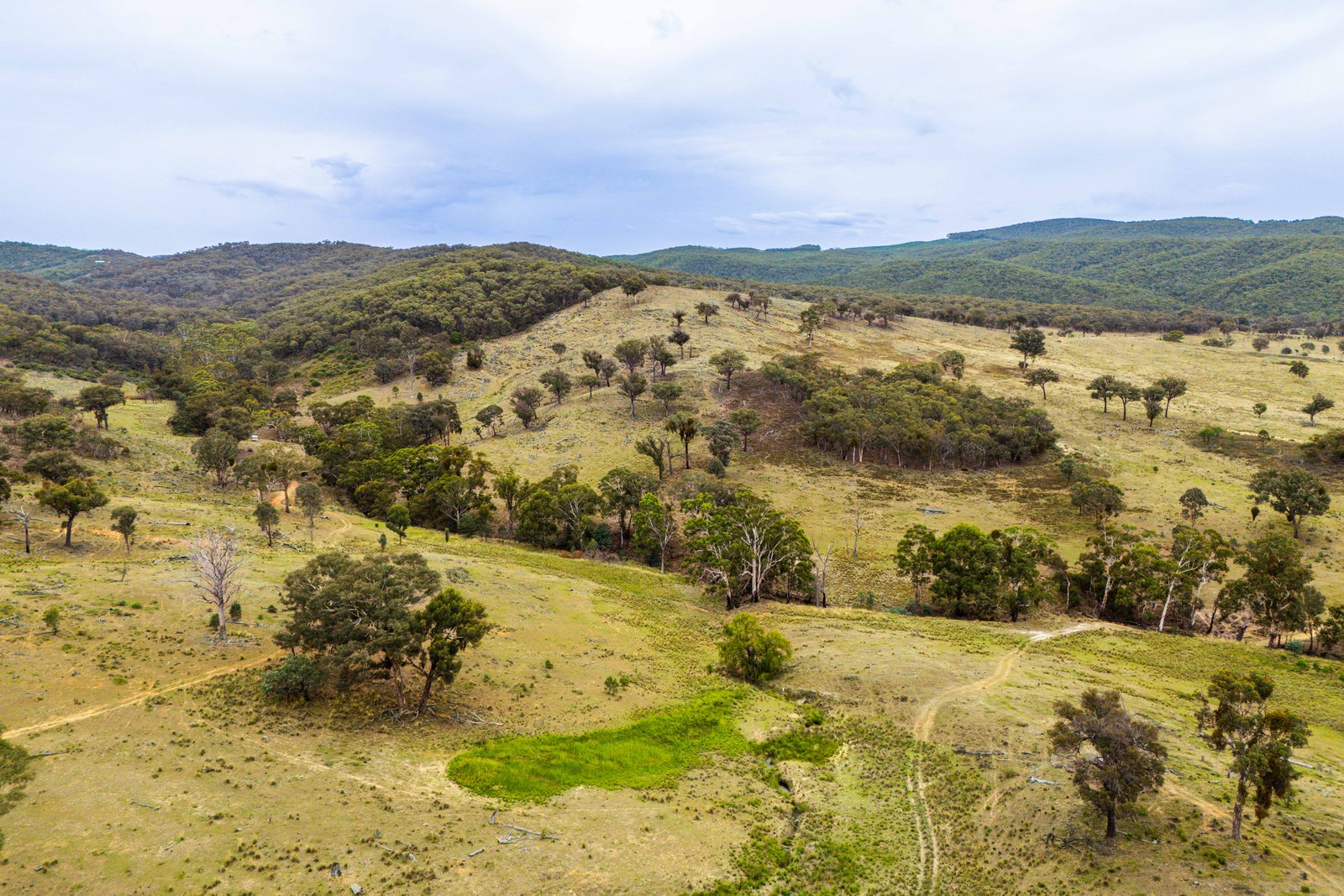 678 Dry Creek Road LEWIS PONDS 4