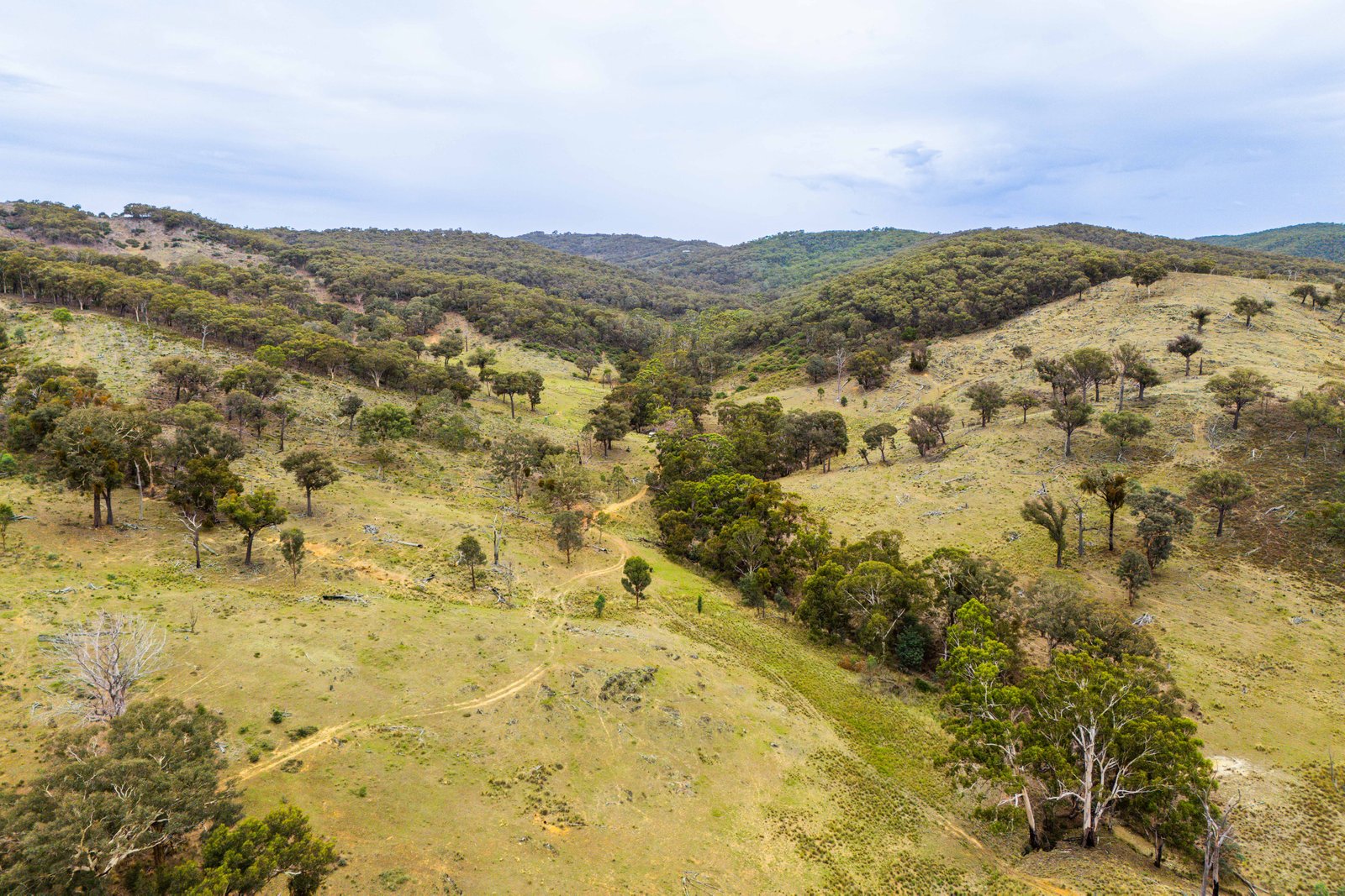 678 Dry Creek Road LEWIS PONDS 5