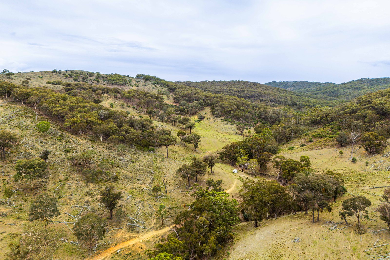 678 Dry Creek Road LEWIS PONDS 6