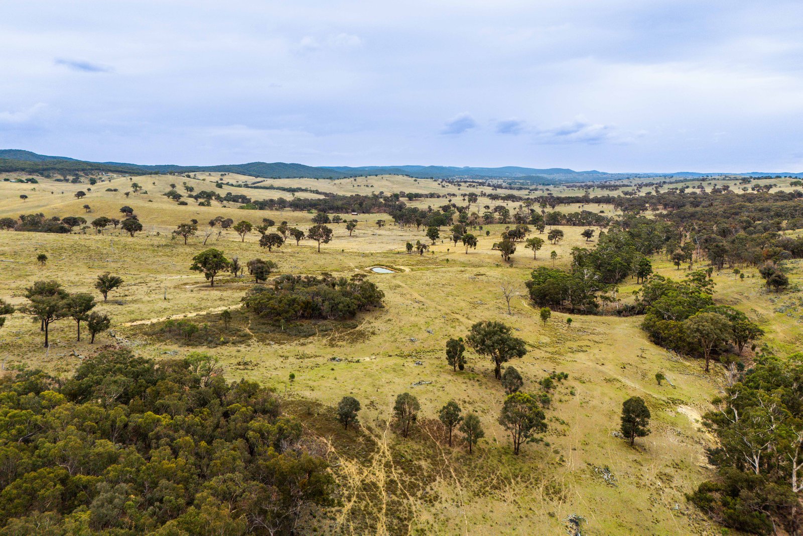 678 Dry Creek Road LEWIS PONDS 7