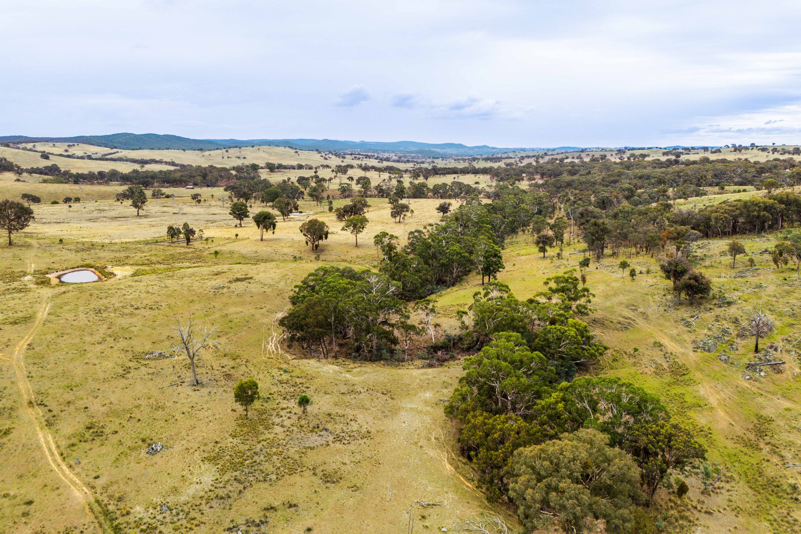 678 Dry Creek Road LEWIS PONDS 8