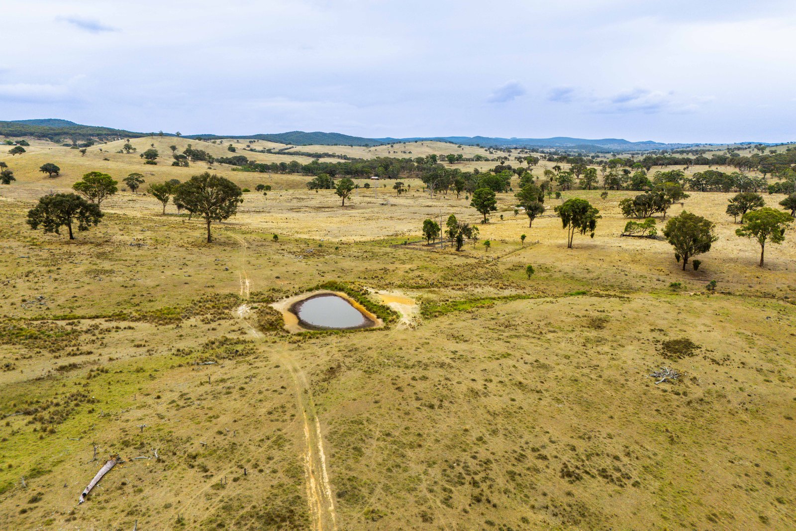 678 Dry Creek Road LEWIS PONDS 9