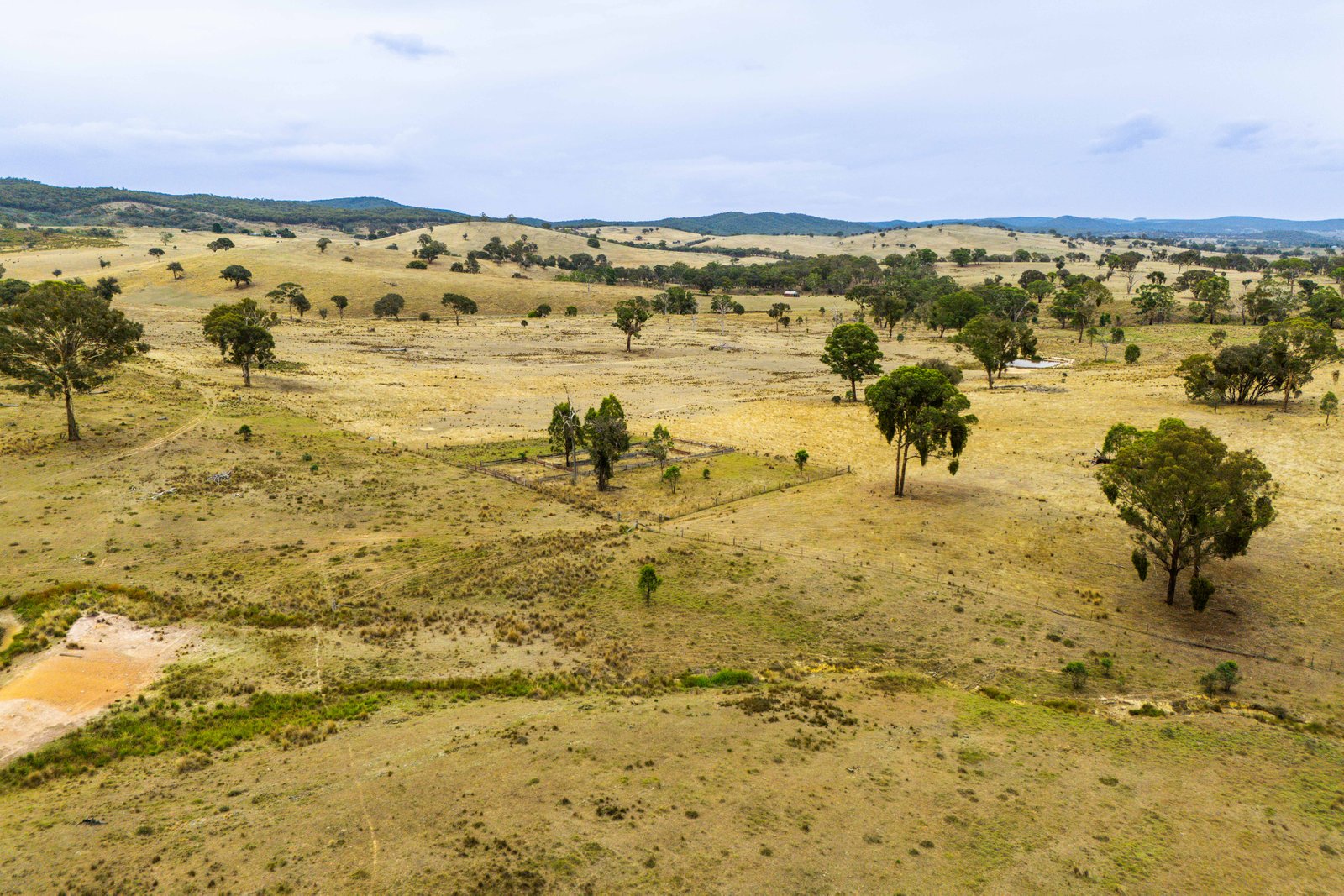 678 Dry Creek Road LEWIS PONDS 10