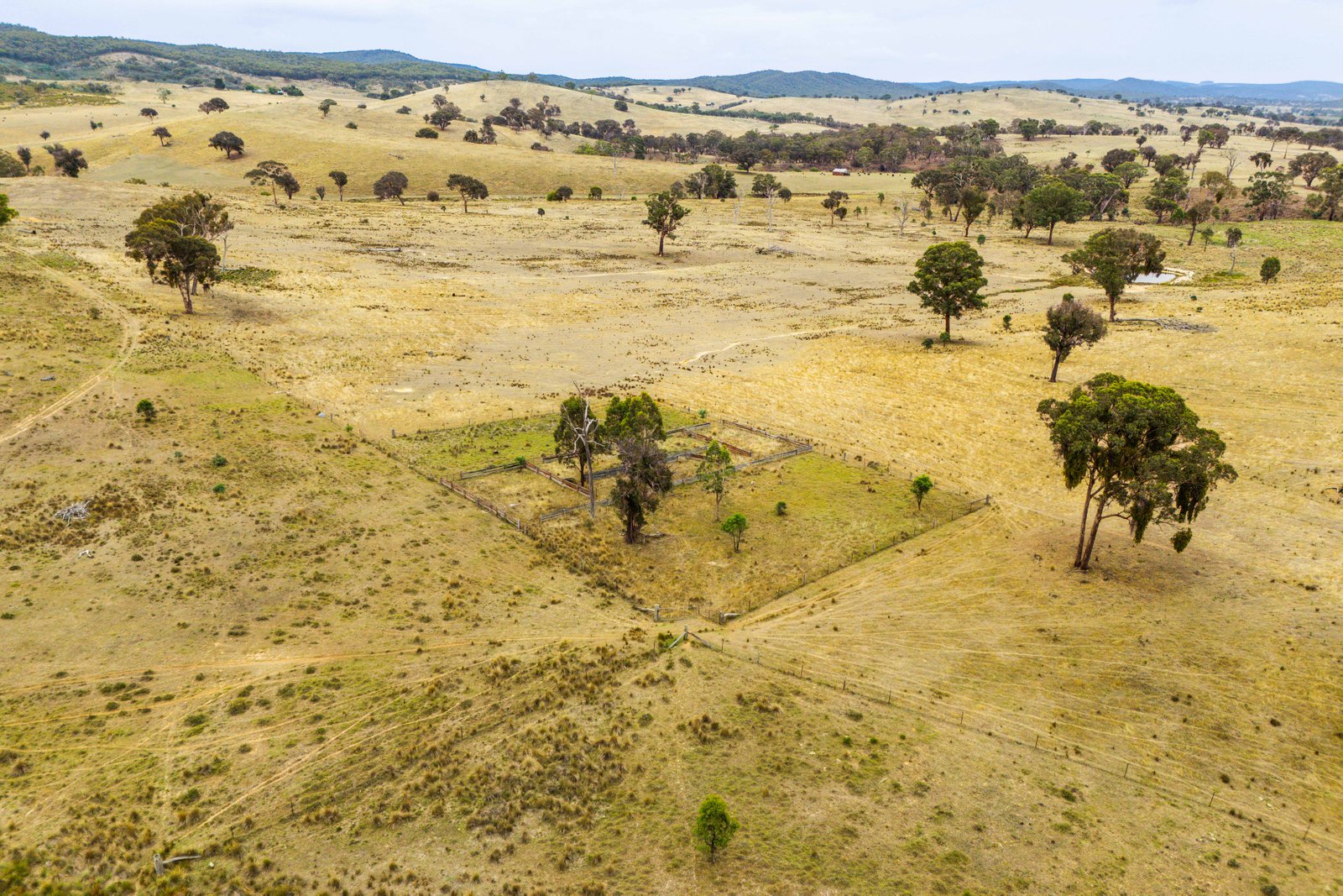 678 Dry Creek Road LEWIS PONDS 11