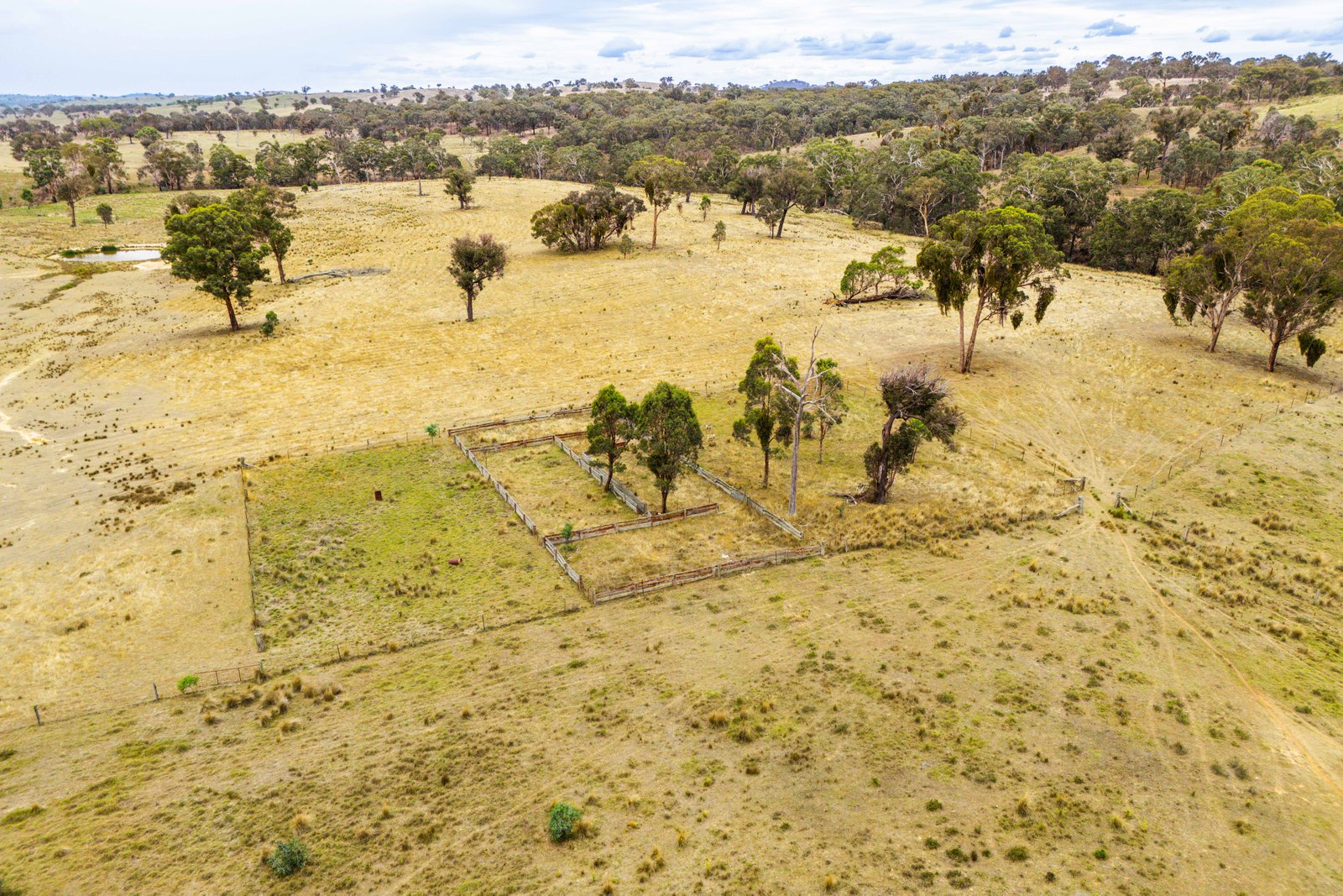 678 Dry Creek Road LEWIS PONDS 12