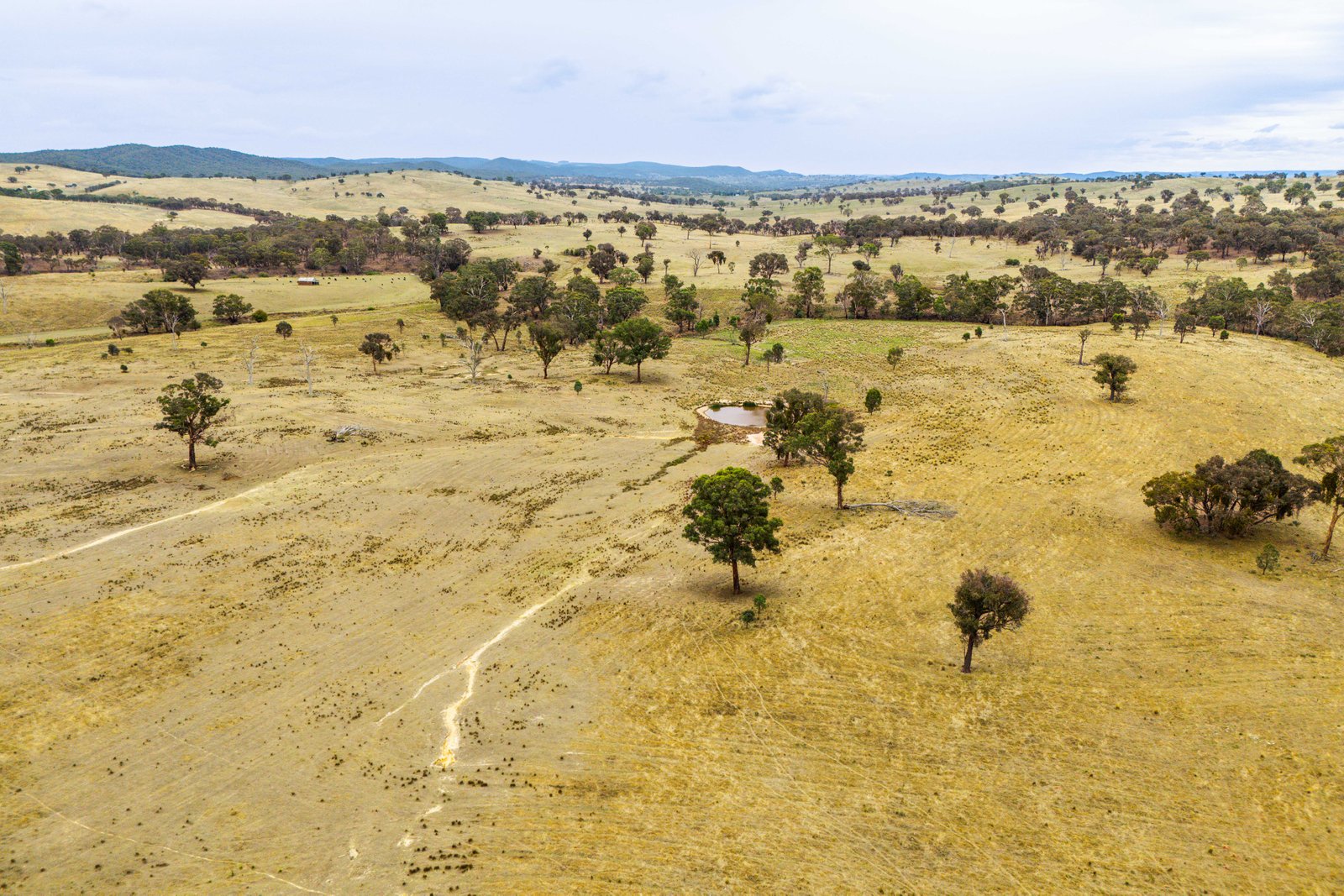 678 Dry Creek Road LEWIS PONDS 13