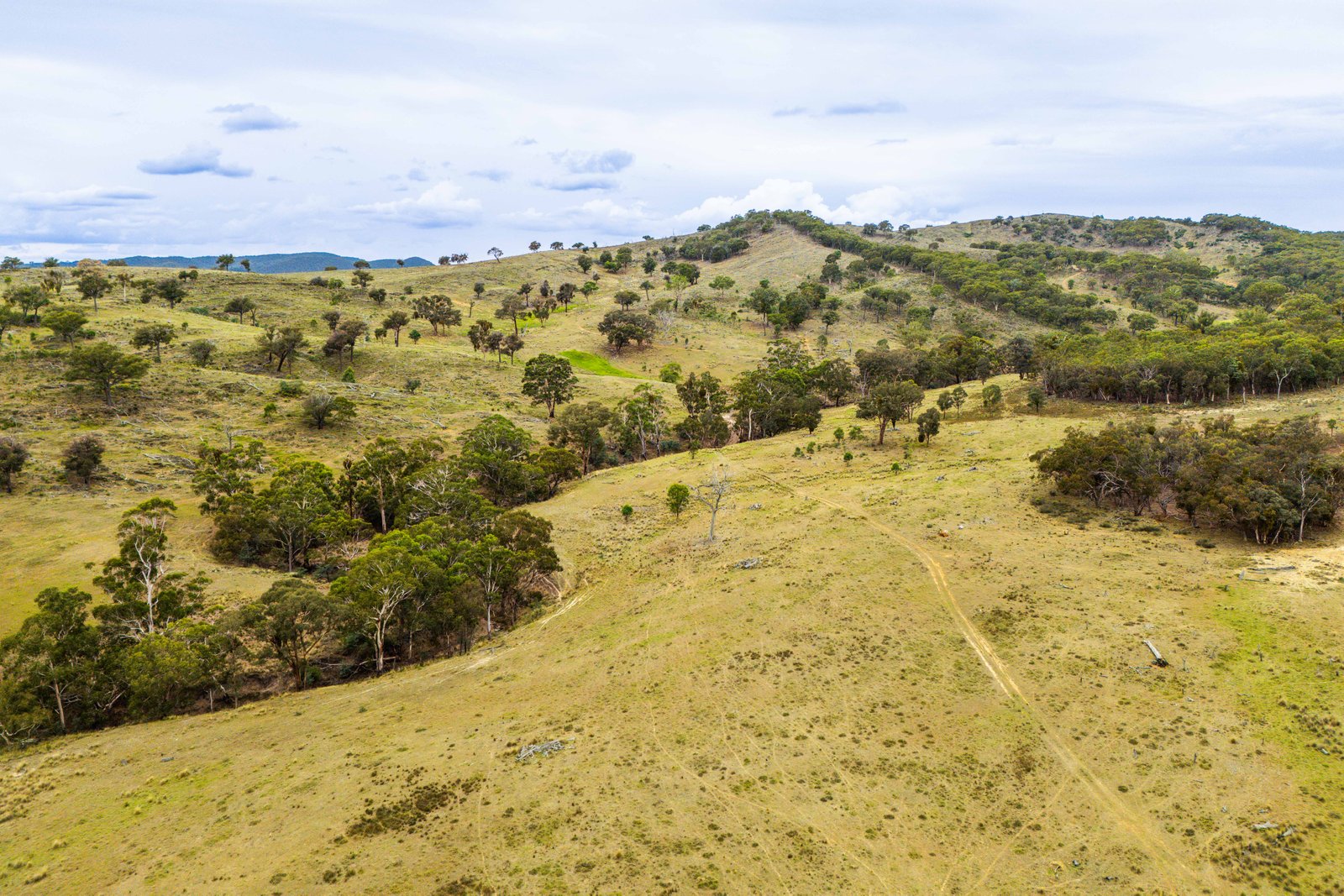 678 Dry Creek Road LEWIS PONDS 14