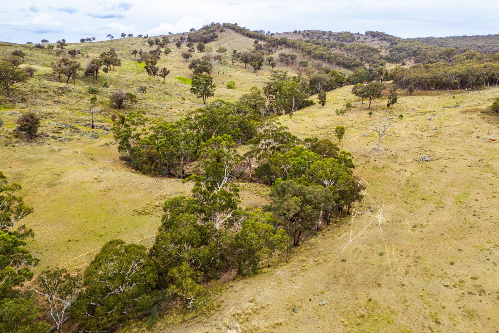 678 Dry Creek Road LEWIS PONDS 15