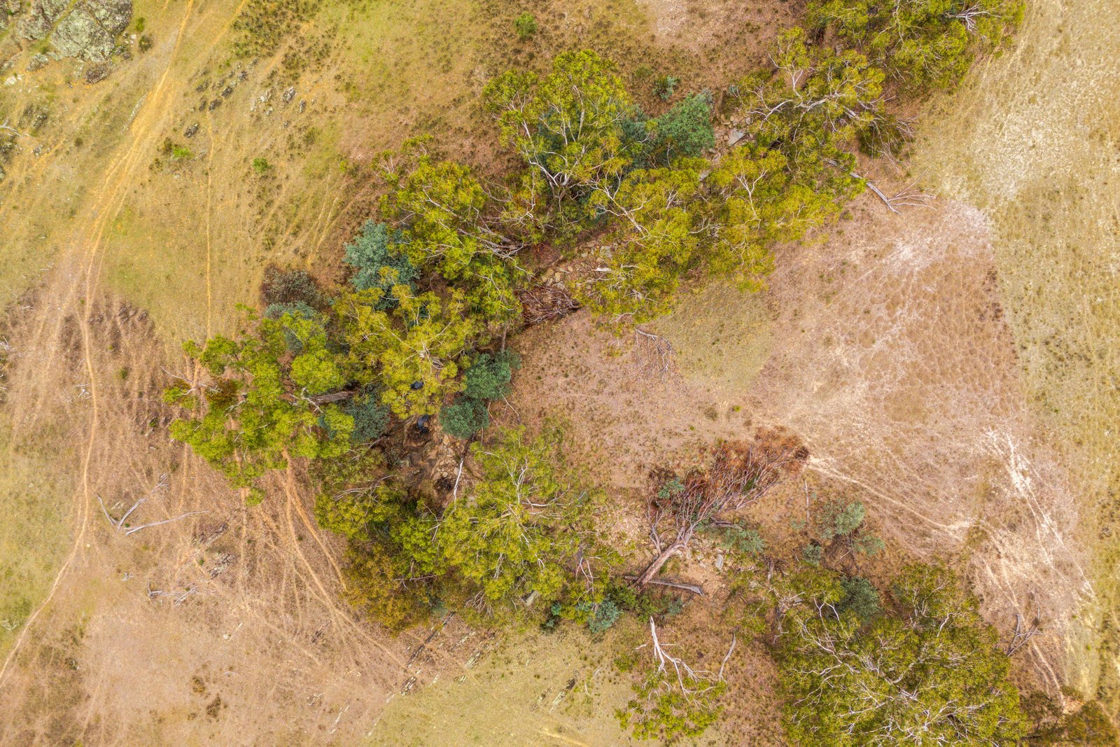678 Dry Creek Road LEWIS PONDS 16