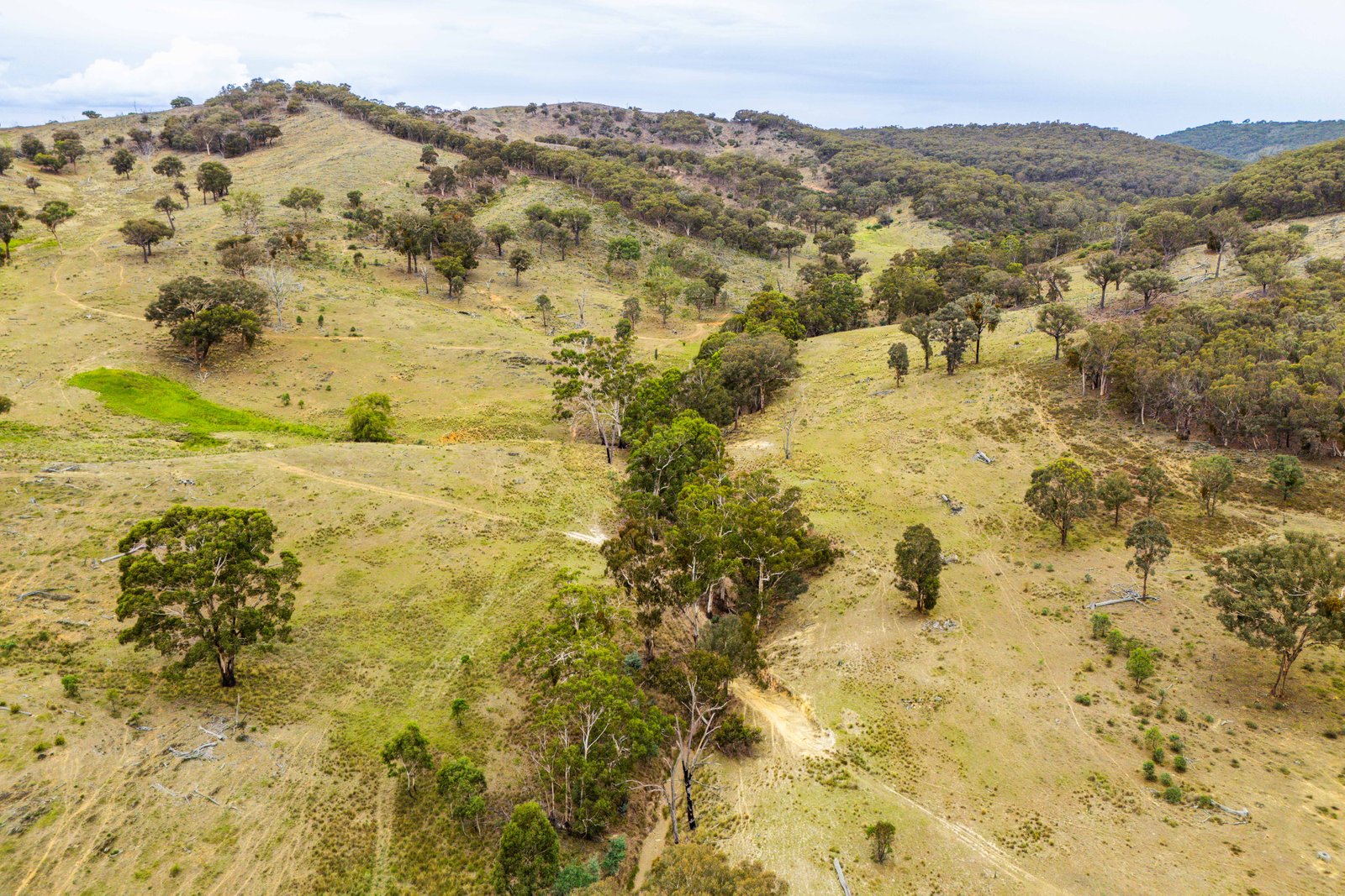 678 Dry Creek Road LEWIS PONDS 17