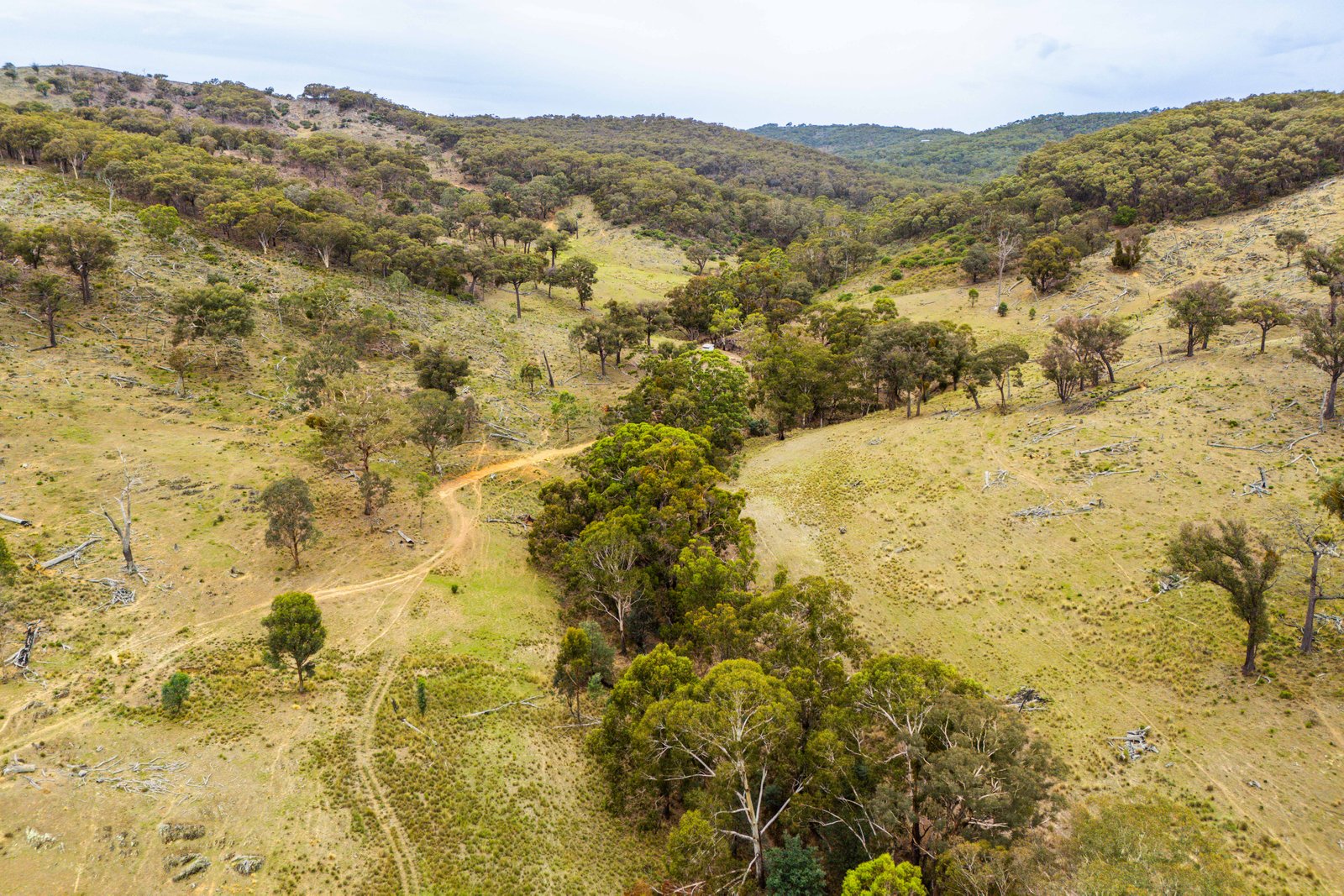 678 Dry Creek Road LEWIS PONDS 18