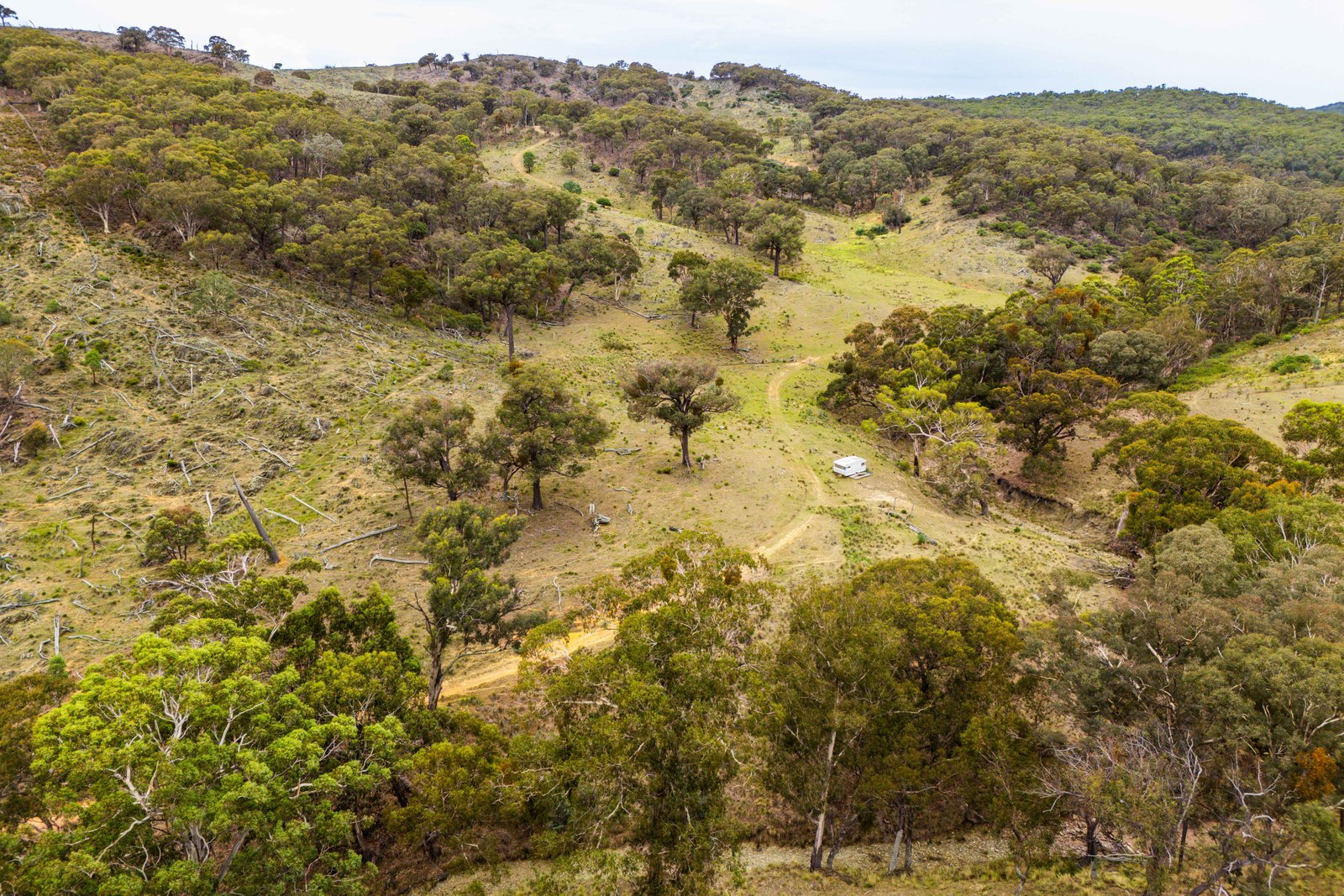 678 Dry Creek Road LEWIS PONDS 19