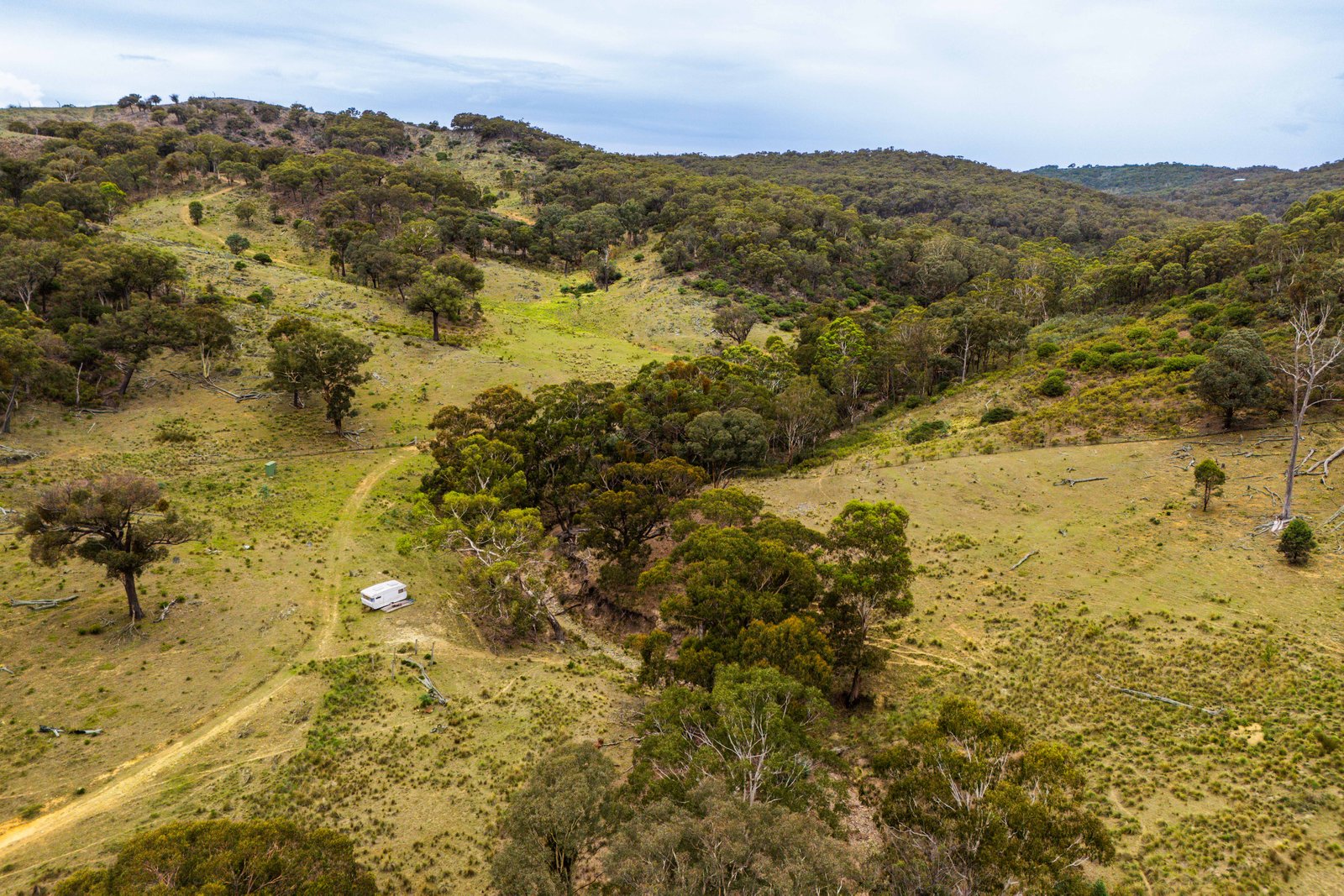 678 Dry Creek Road LEWIS PONDS 20