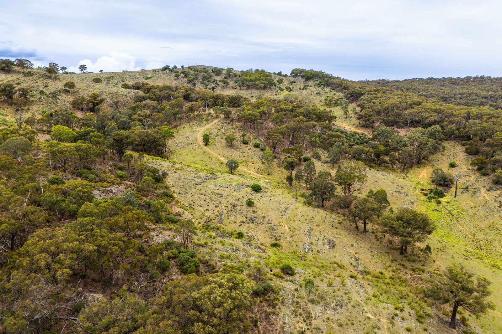 678 Dry Creek Road LEWIS PONDS 21