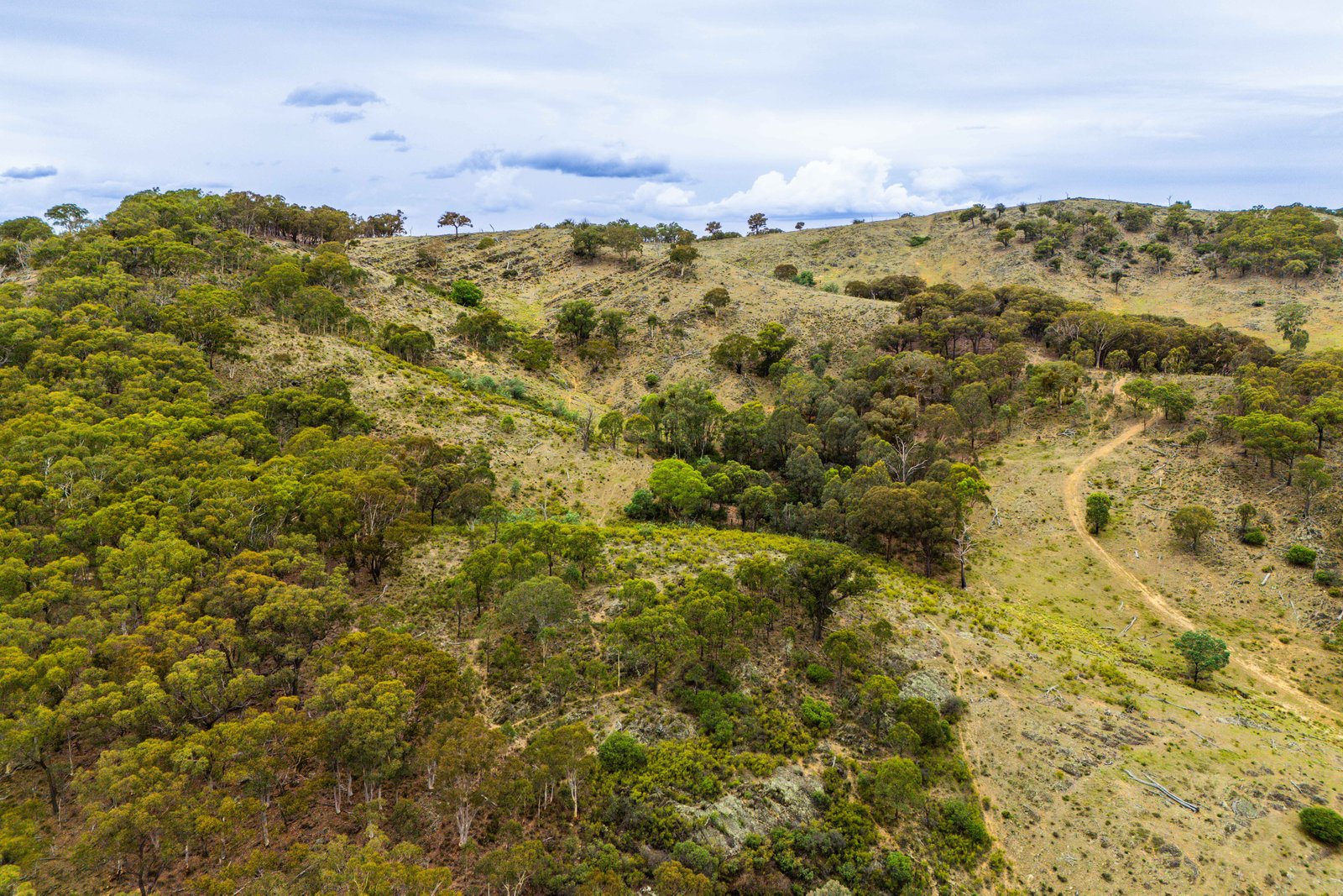 678 Dry Creek Road LEWIS PONDS 22