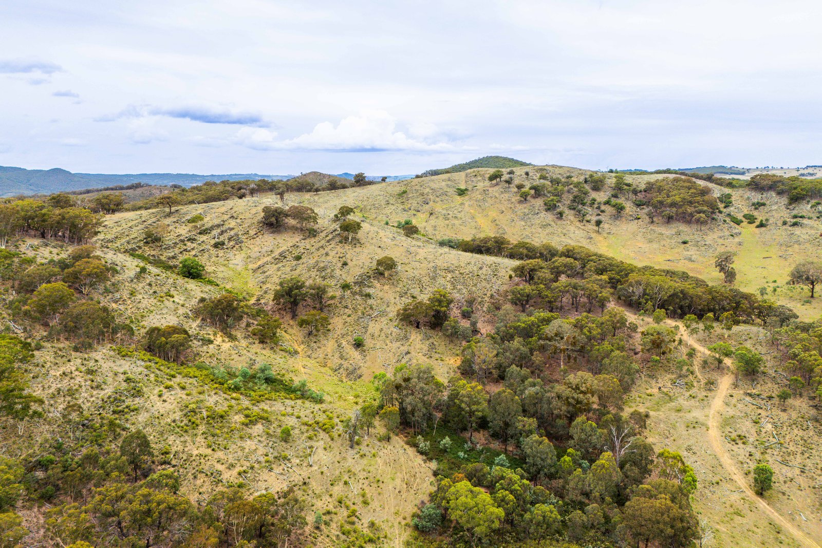 678 Dry Creek Road LEWIS PONDS 23