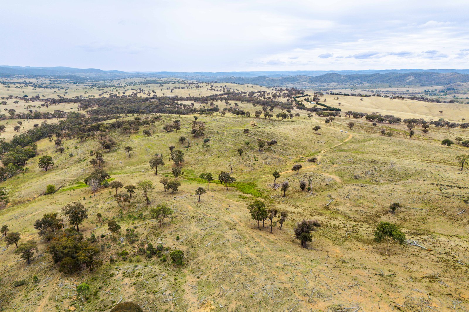 678 Dry Creek Road LEWIS PONDS 24