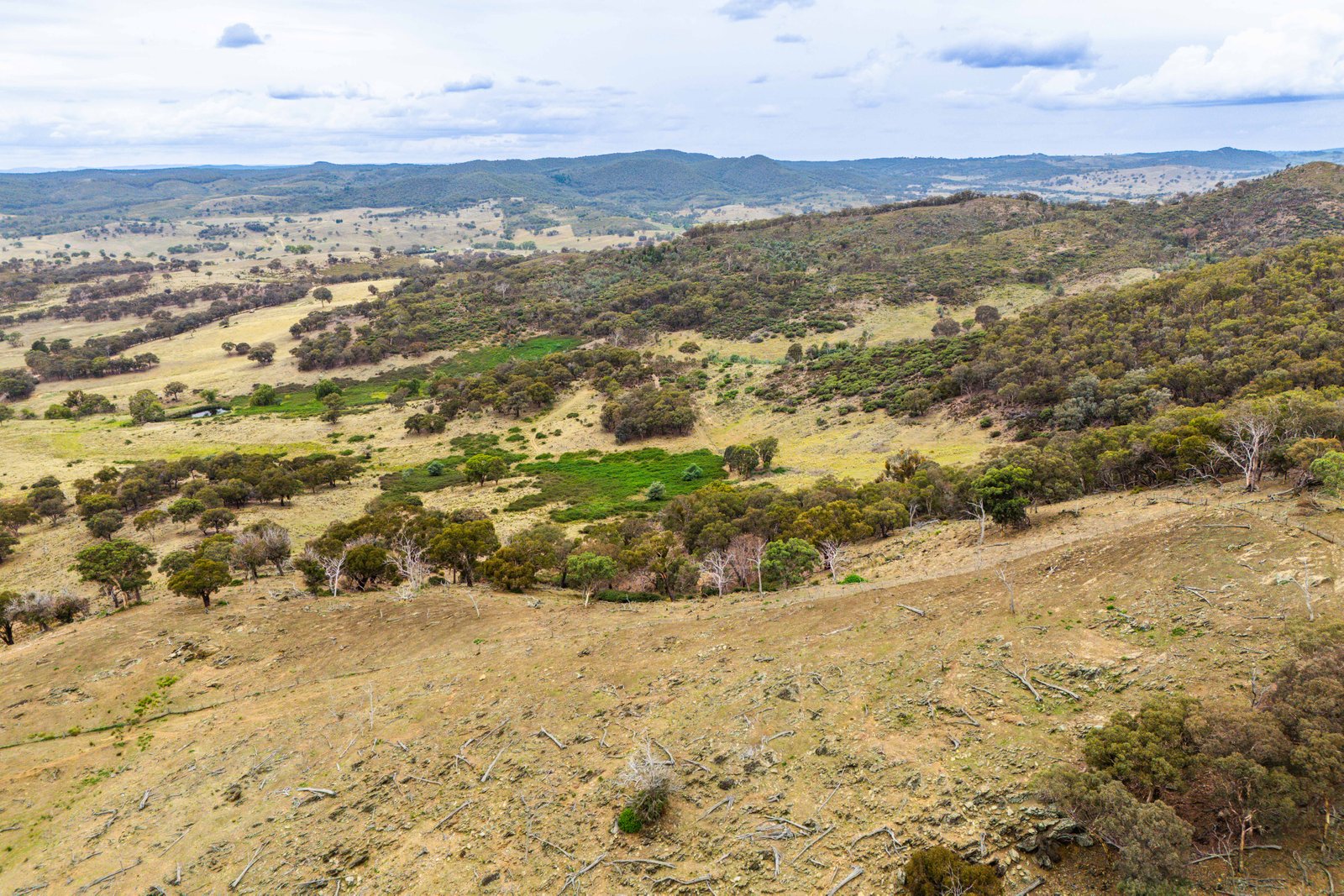 678 Dry Creek Road LEWIS PONDS 25