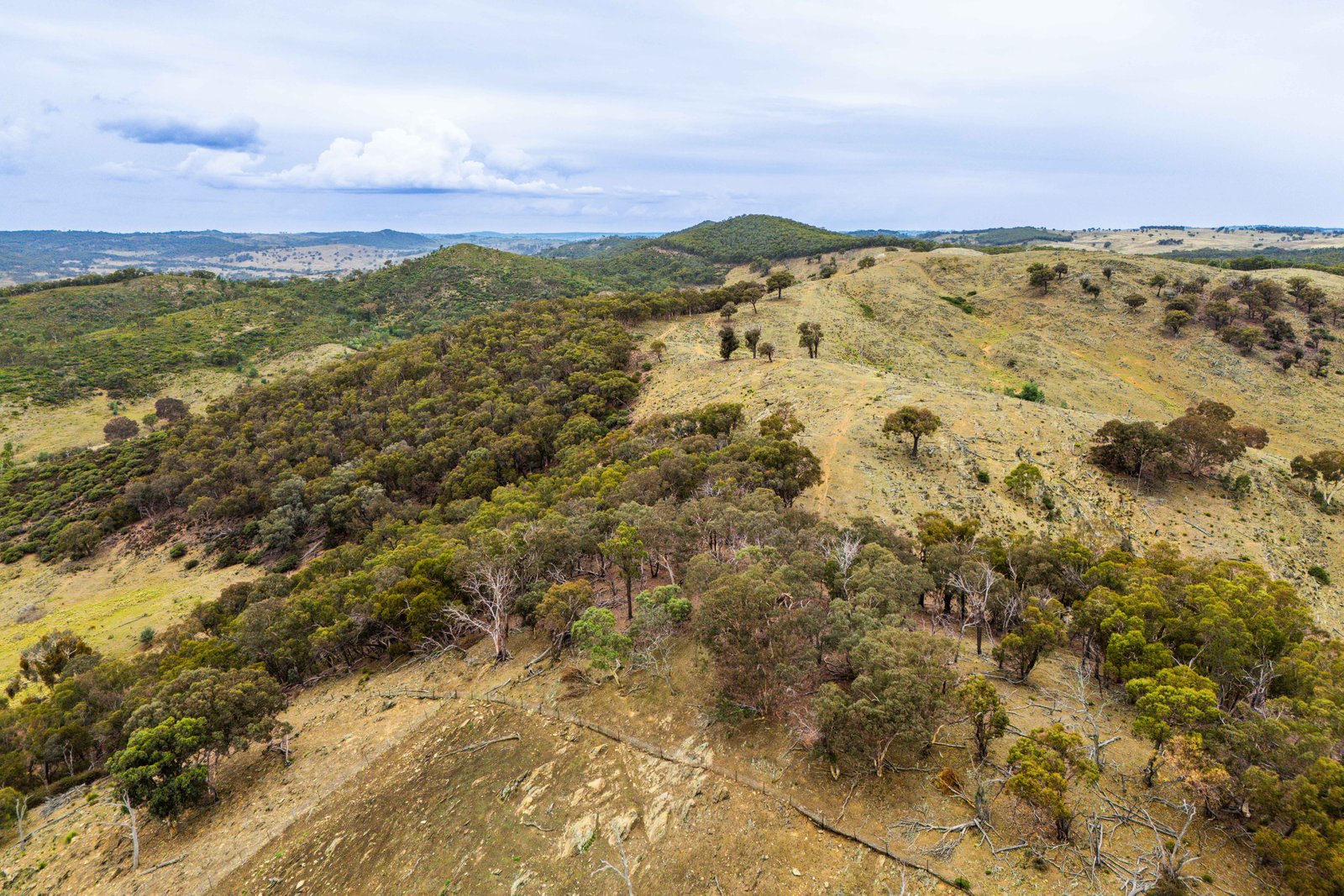 678 Dry Creek Road LEWIS PONDS 26