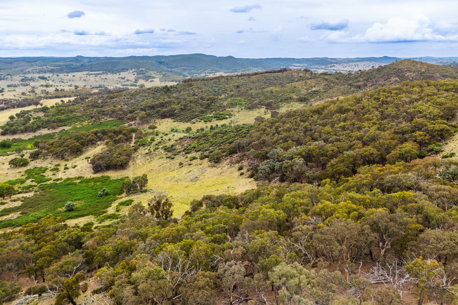 678 Dry Creek Road LEWIS PONDS 27
