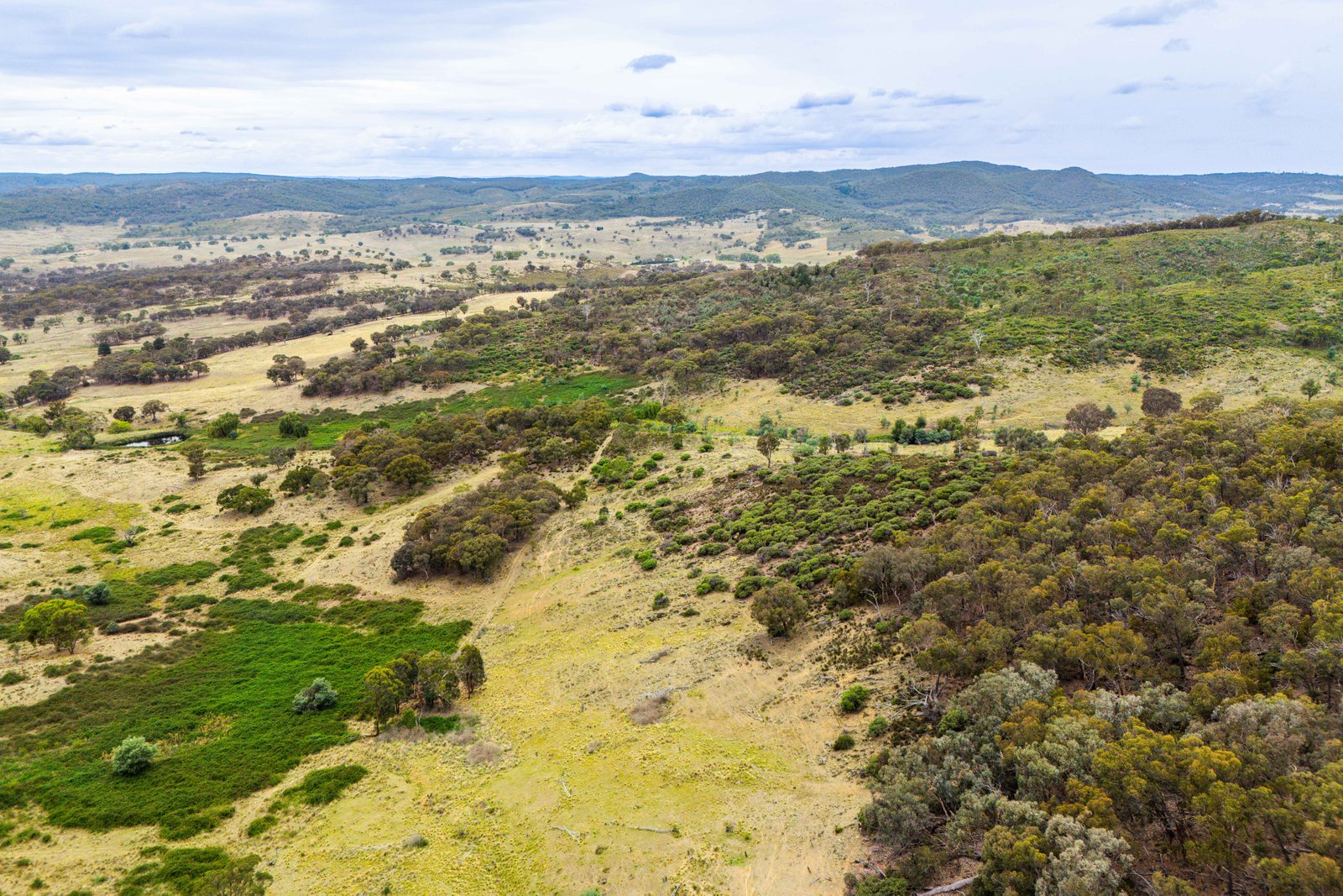678 Dry Creek Road LEWIS PONDS 28