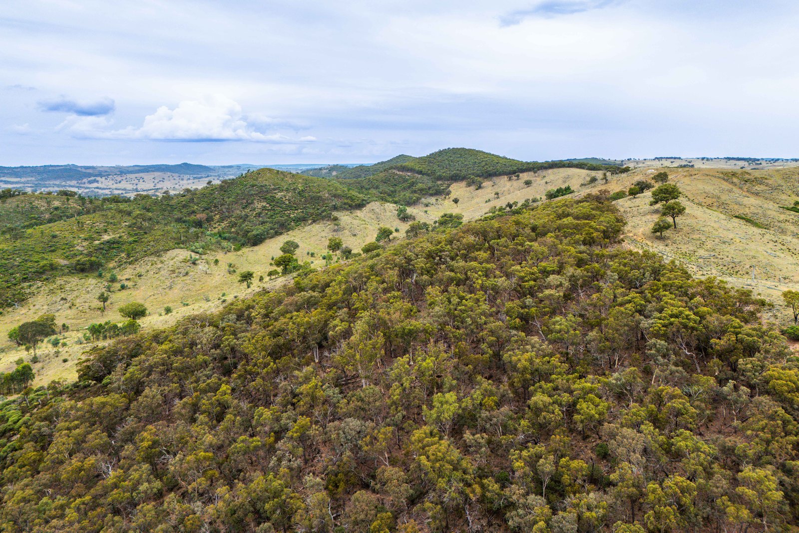 678 Dry Creek Road LEWIS PONDS 29