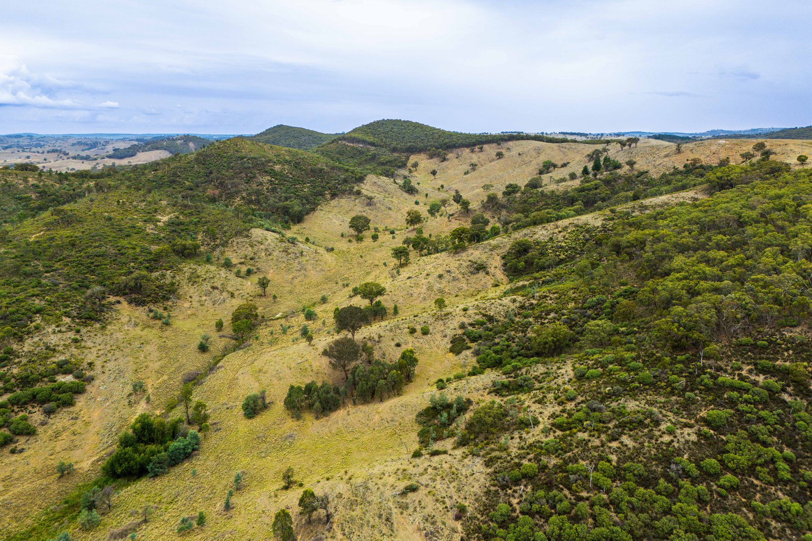 678 Dry Creek Road LEWIS PONDS 30