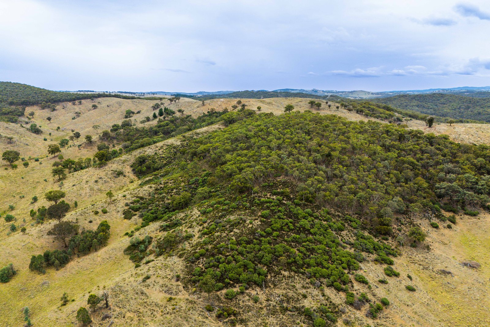 678 Dry Creek Road LEWIS PONDS 31
