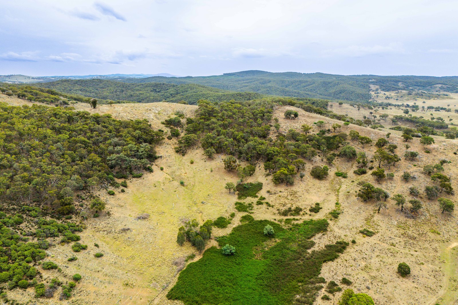 678 Dry Creek Road LEWIS PONDS 32