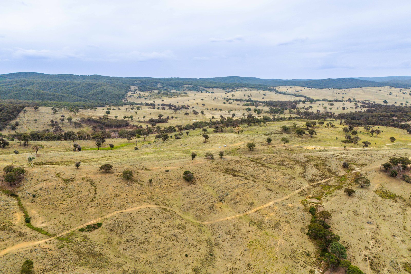 678 Dry Creek Road LEWIS PONDS 33