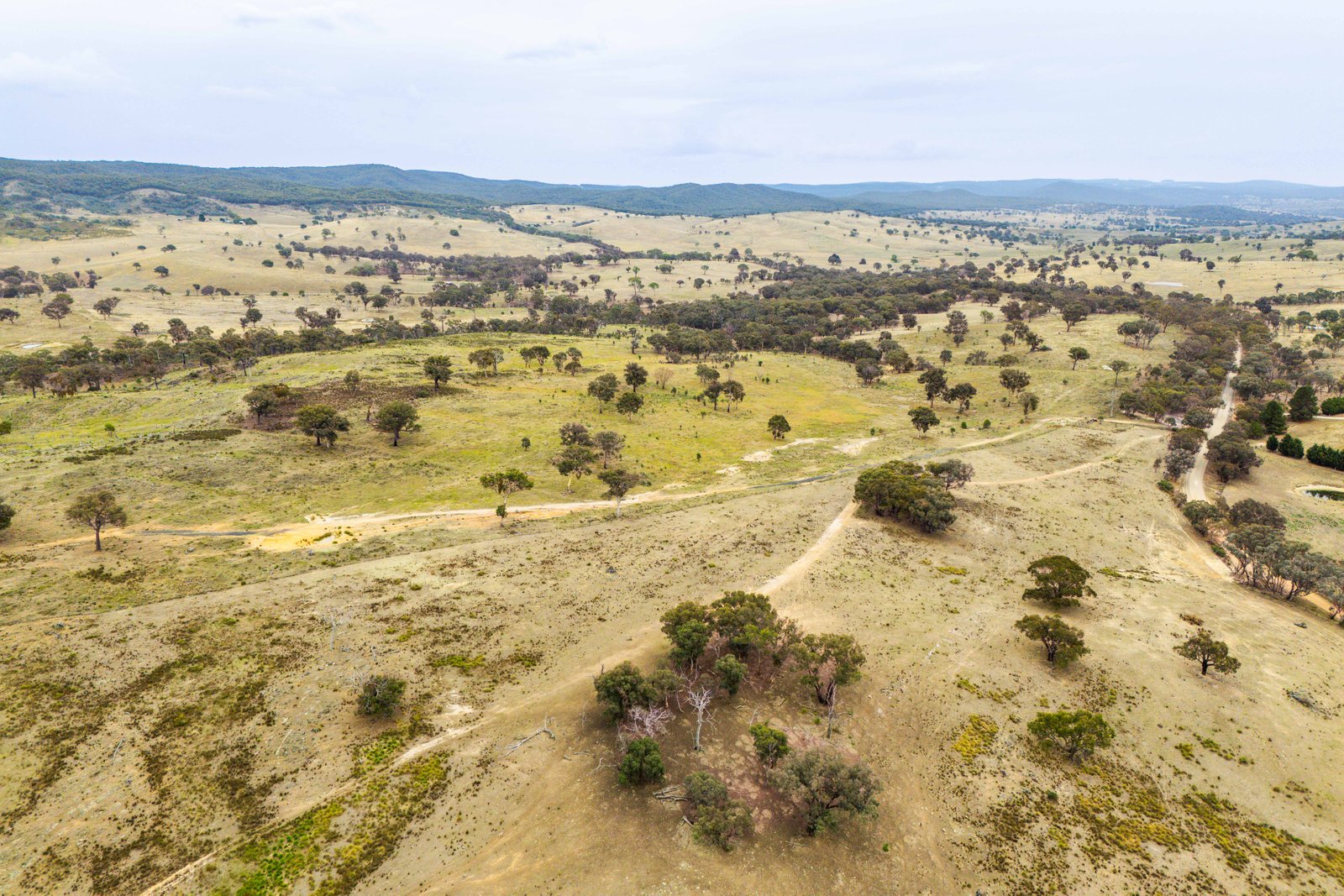 678 Dry Creek Road LEWIS PONDS 34