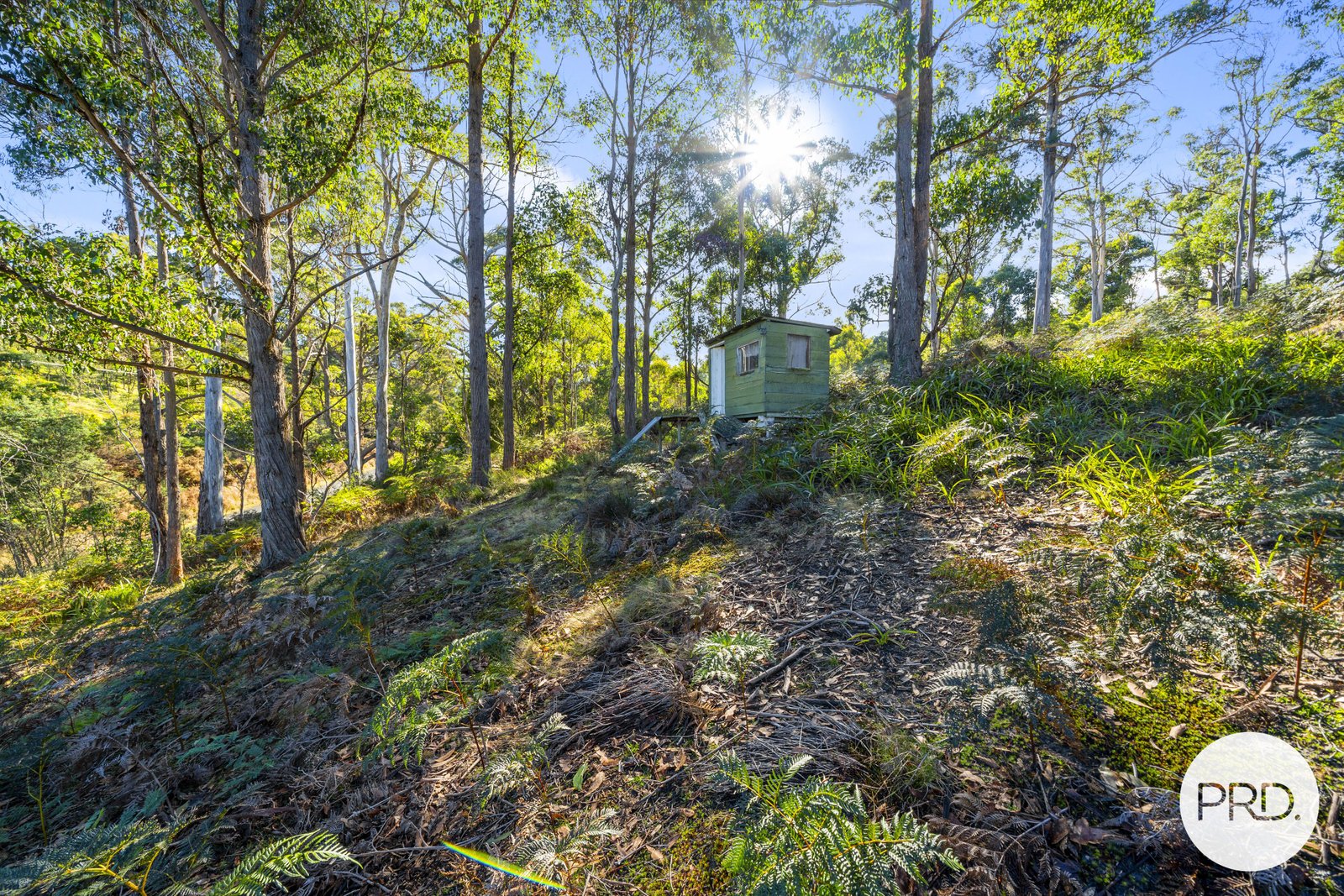 678 Pelham Road PELHAM 7